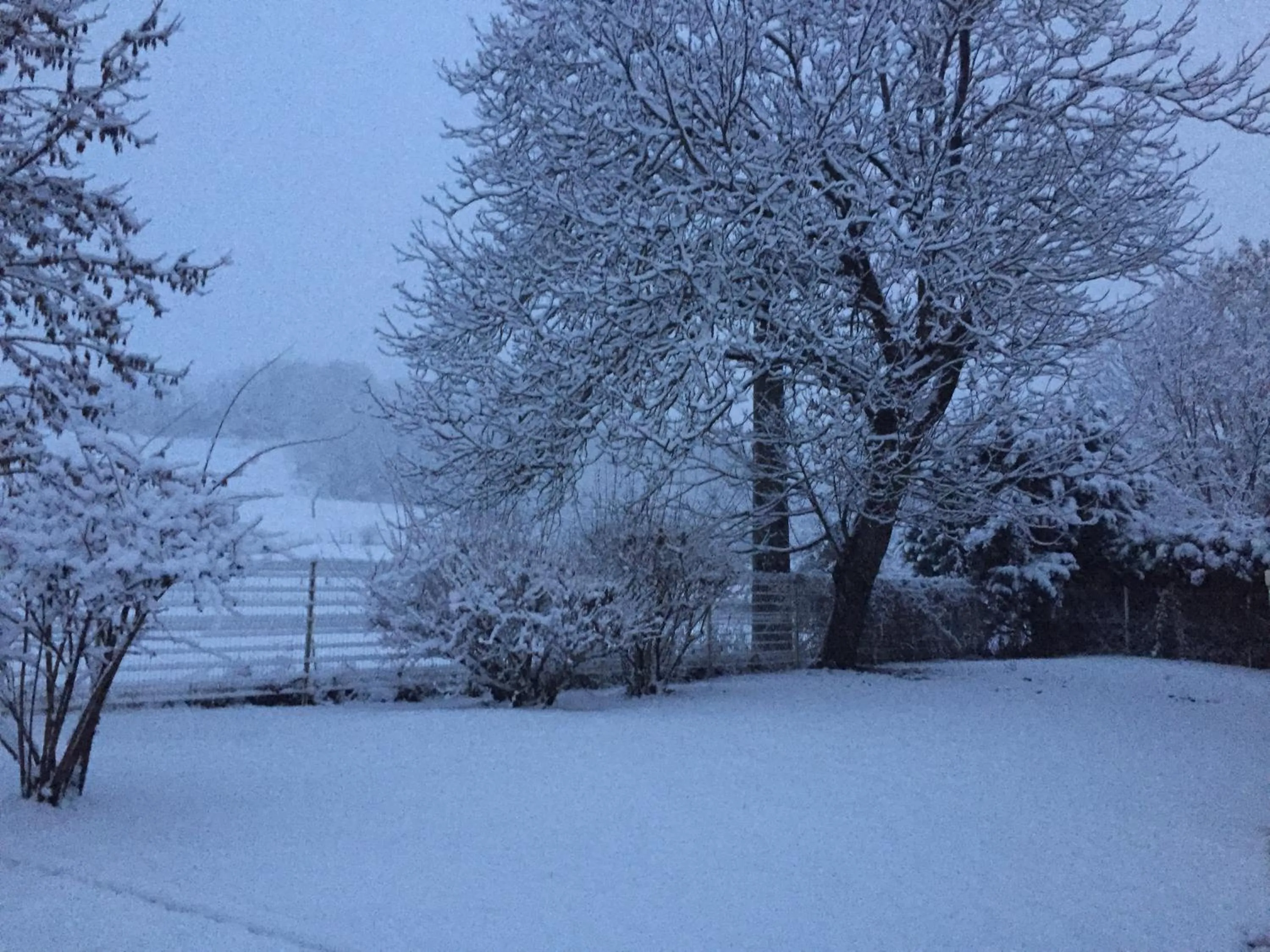 Garden view in Hôtel Inn Chambéry