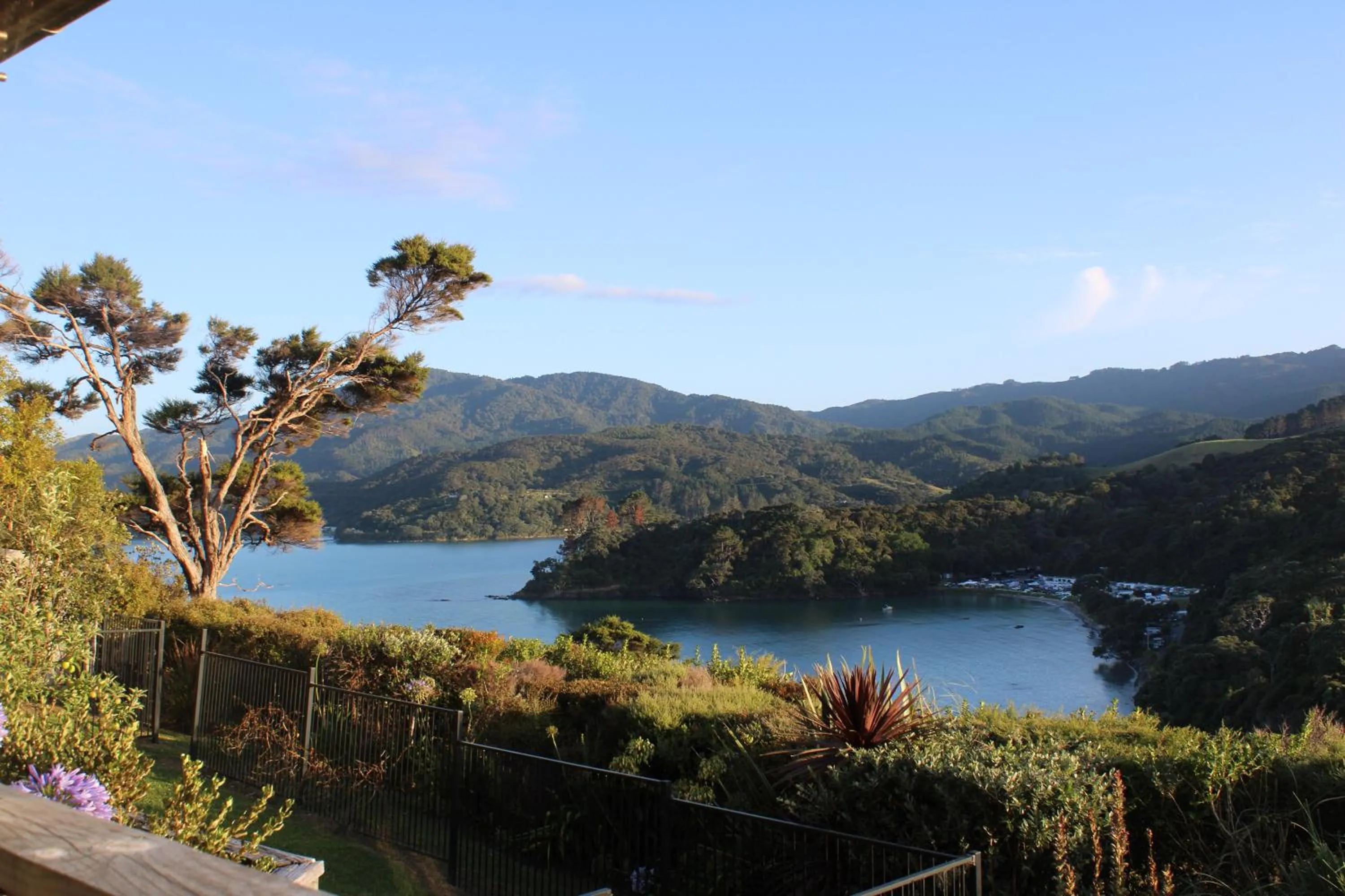 Natural landscape in Coromandel Seaview Motel