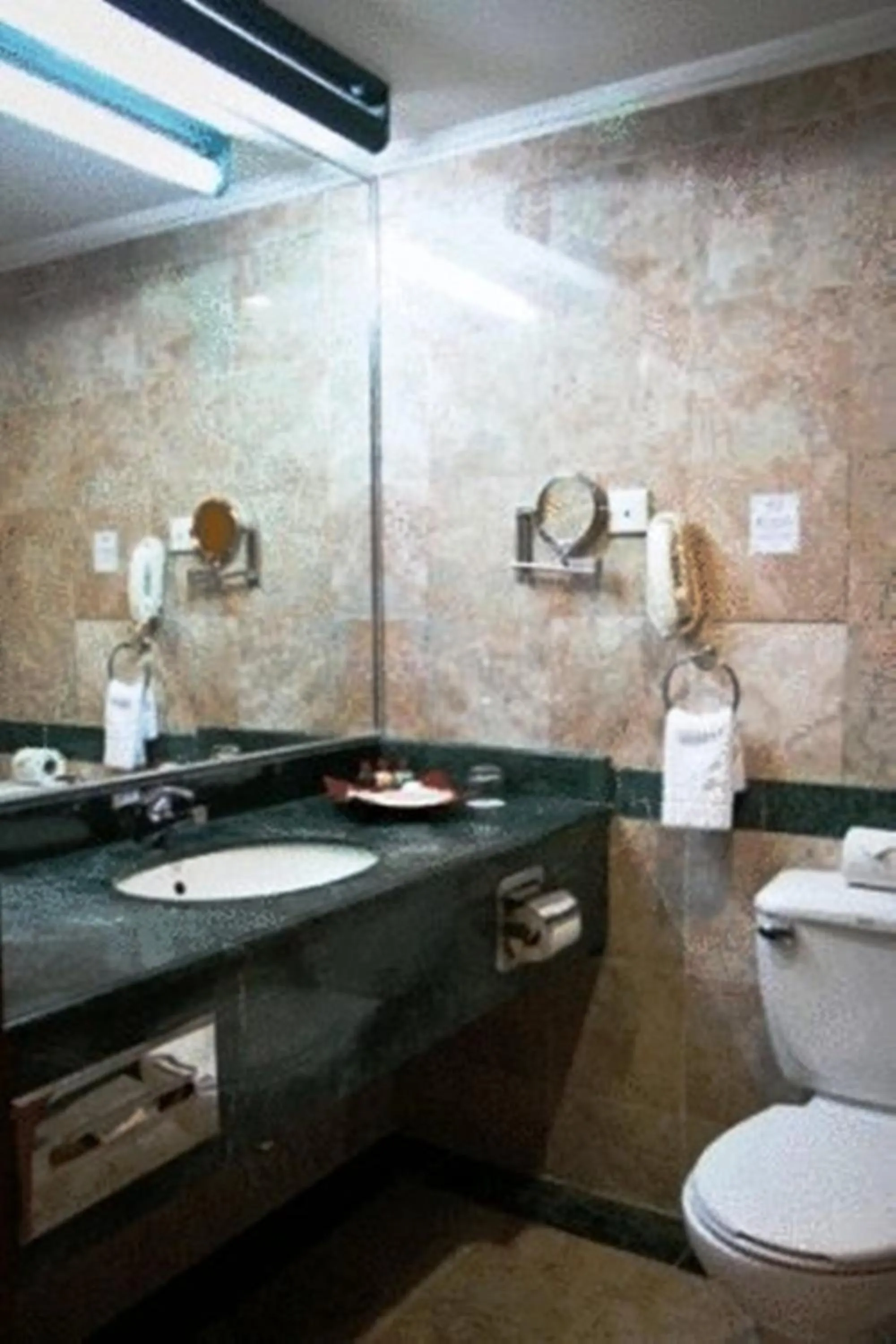 Toilet in Mulia Hotel