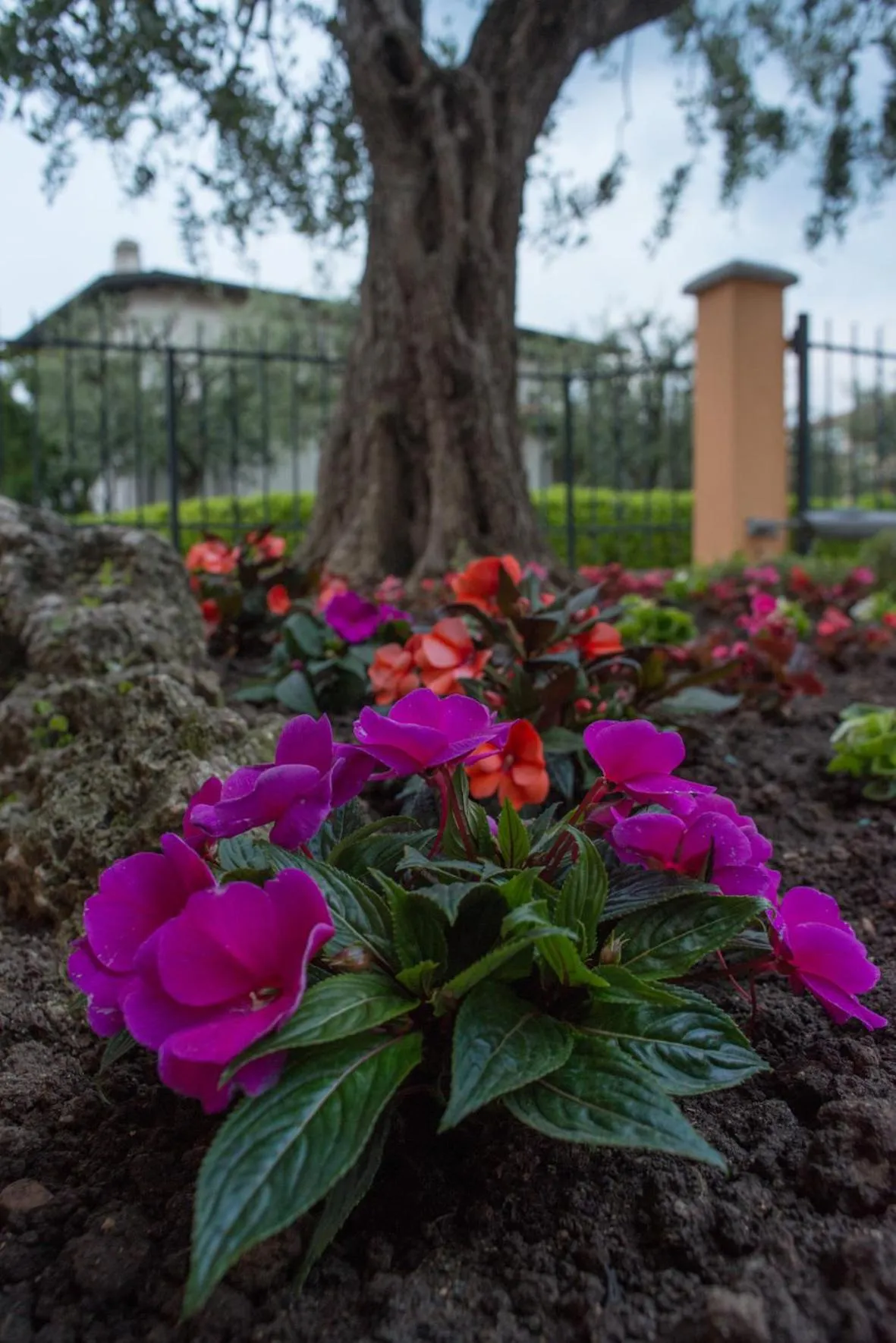 Facade/entrance in Hotel Fiordaliso