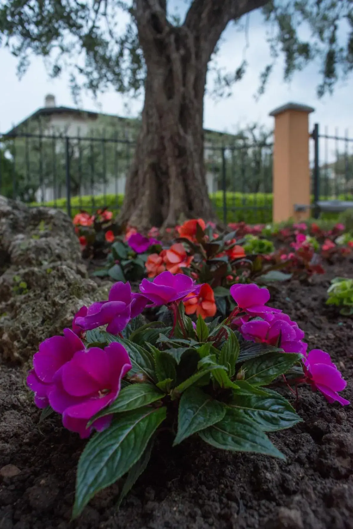 Facade/entrance in Hotel Fiordaliso Facade/entrance in Hotel Fiordaliso