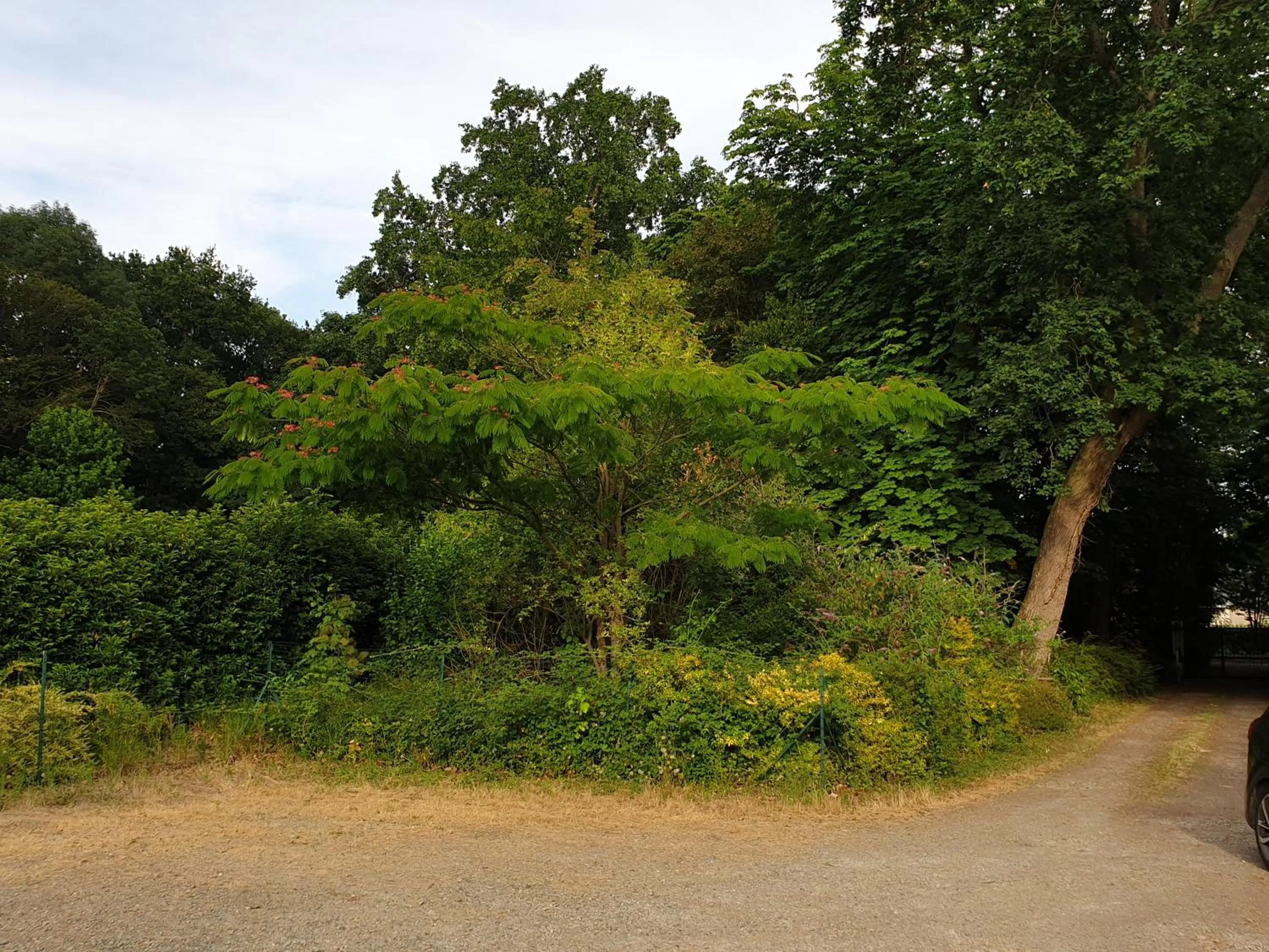 Spring in Logis Hôtel Relais Des Caillères