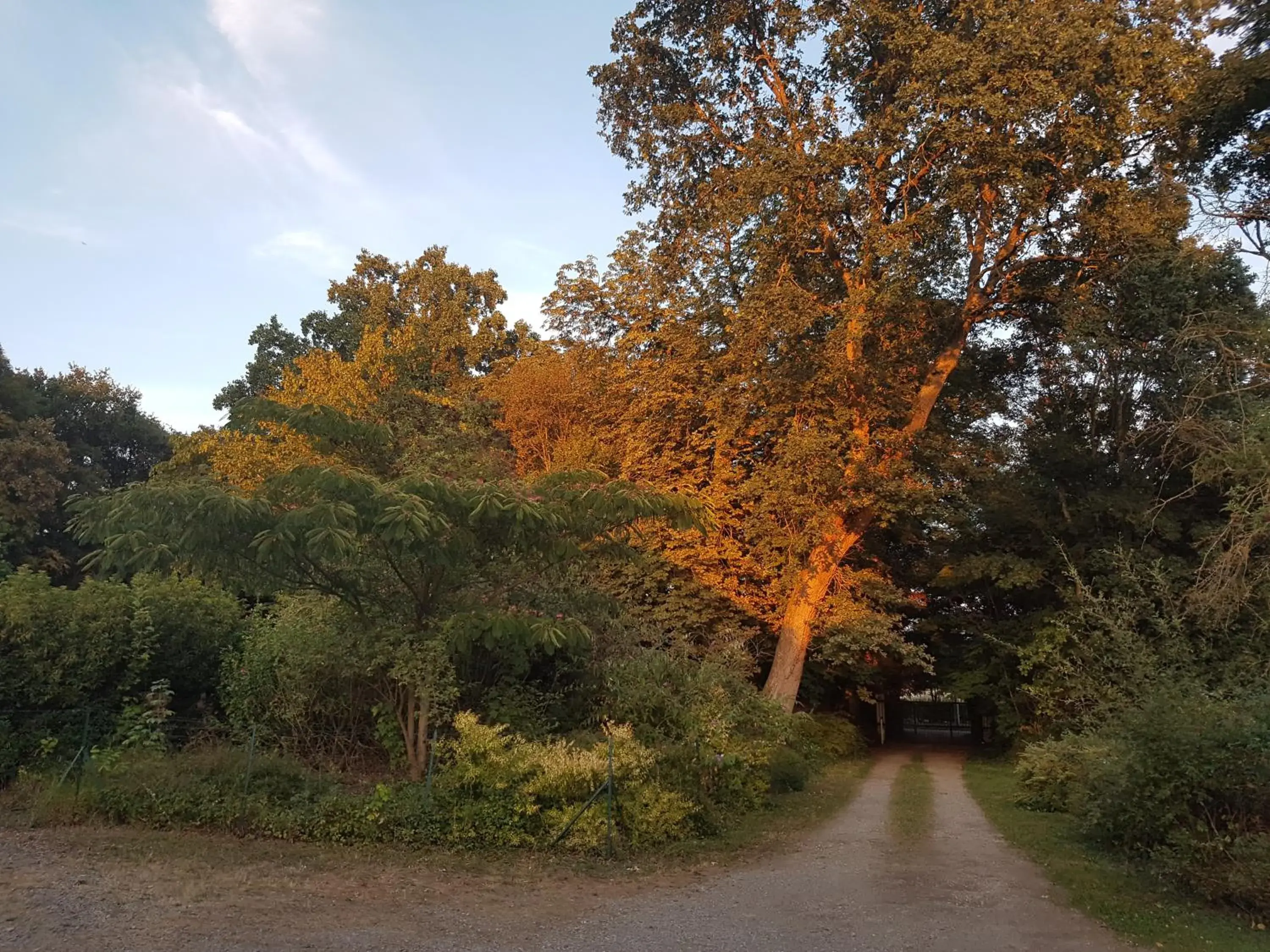 Garden view in Logis Hôtel Relais Des Caillères Garden view in Logis Hôtel Relais Des Caillères