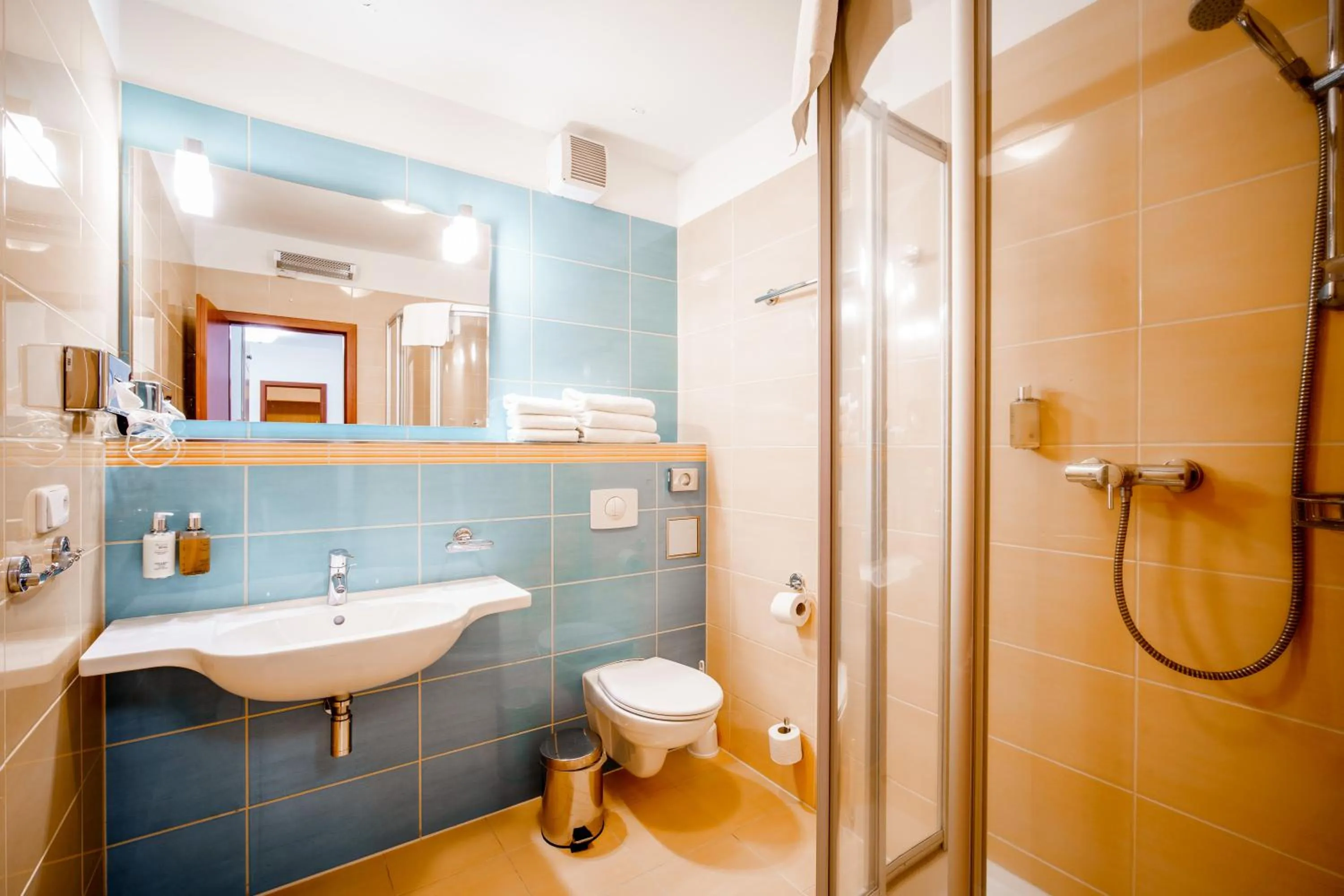 Bathroom in Hotel Petrovy kameny