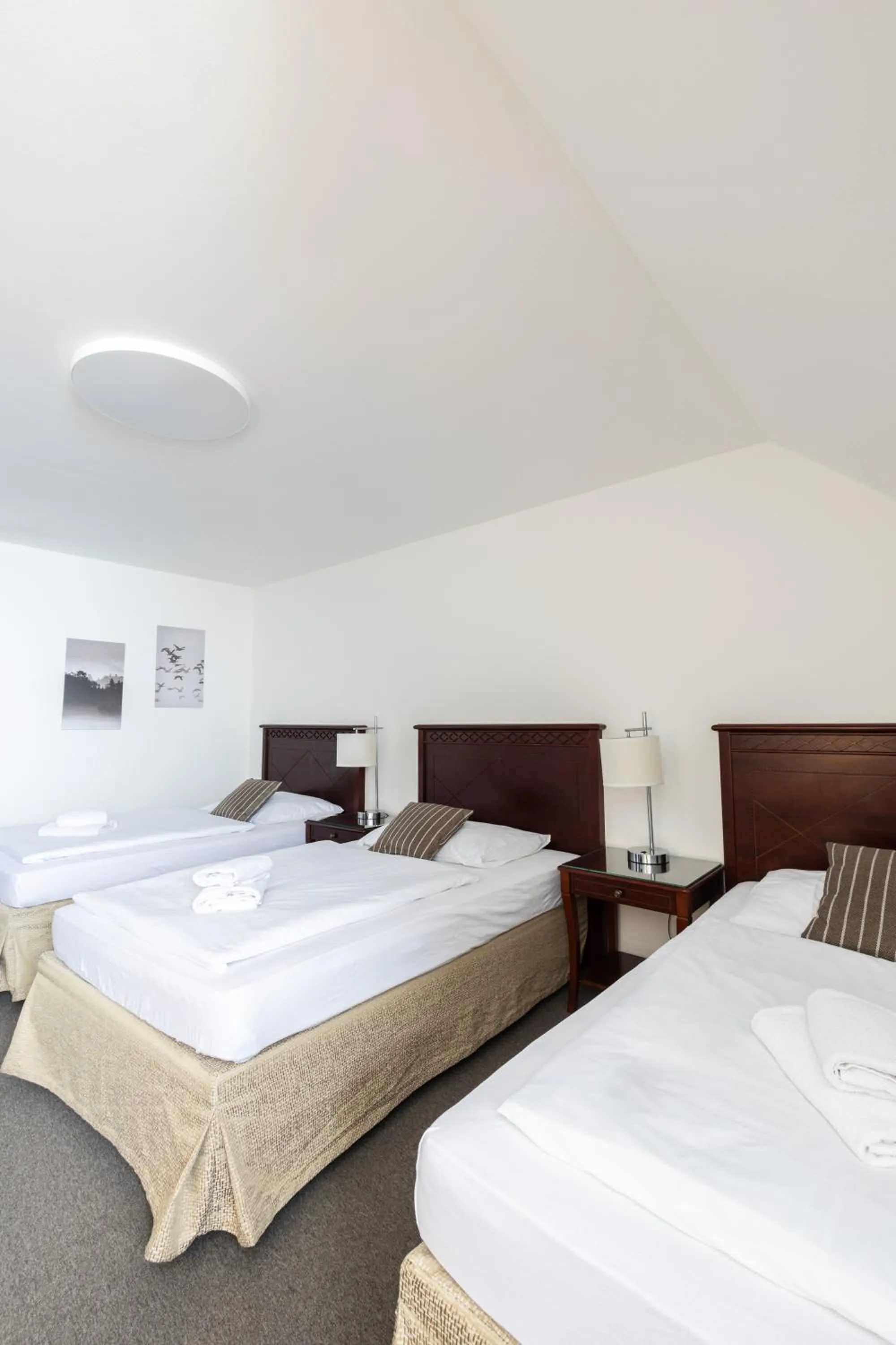 Bed in Hotel Petrovy kameny