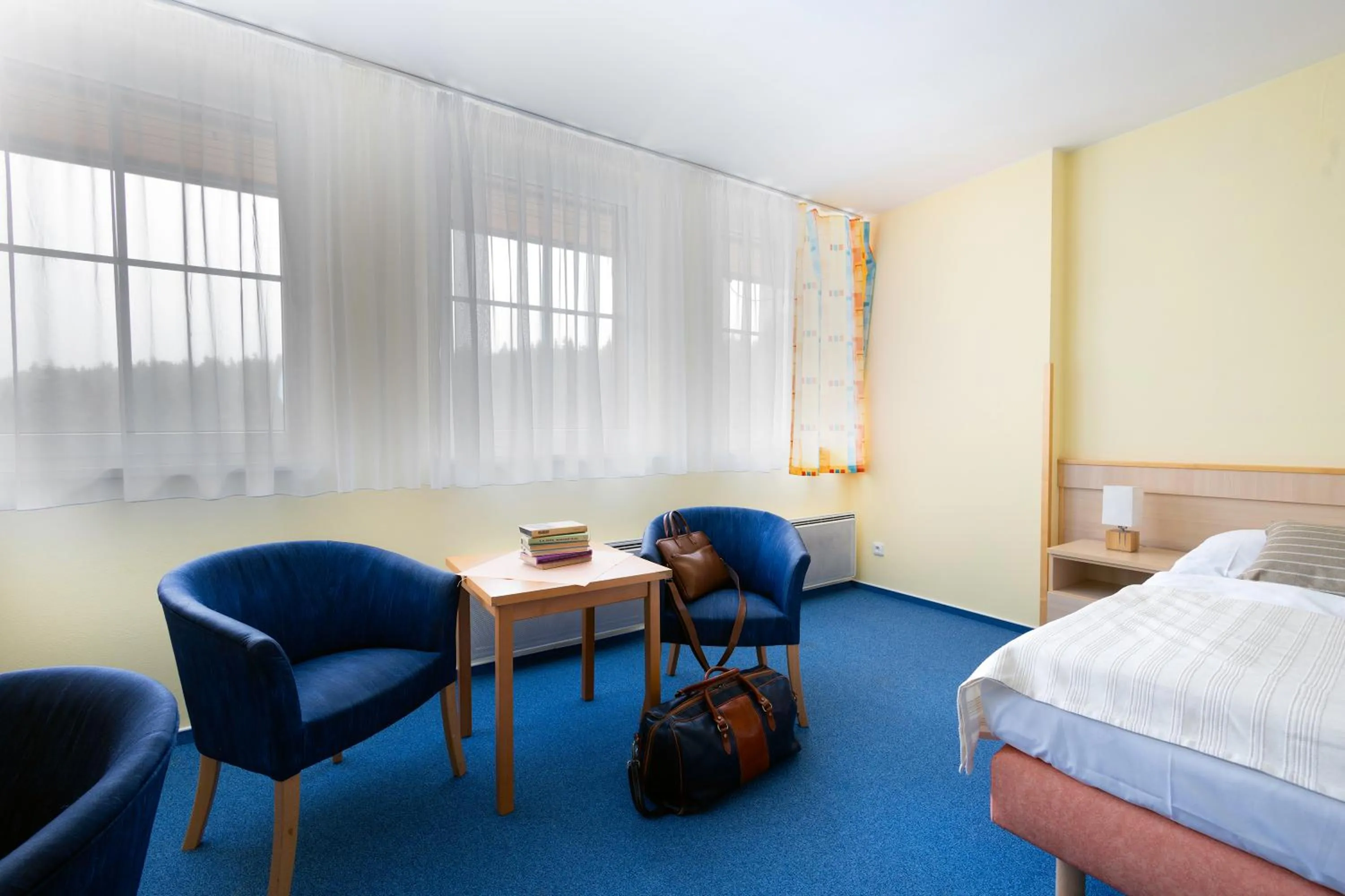 Seating area, Bed in Hotel Petrovy kameny