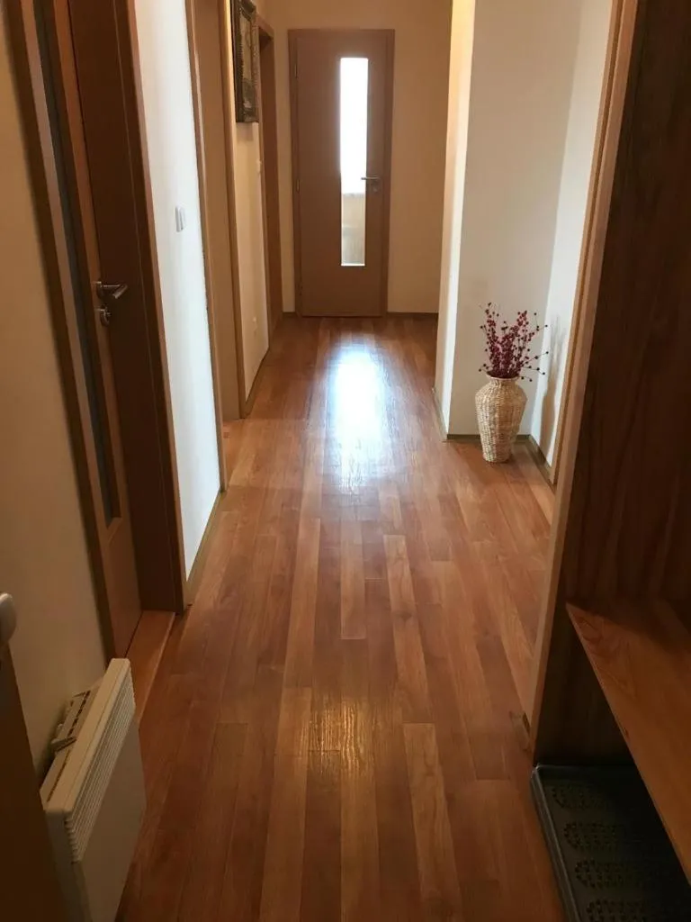 Apartmán Abertamy