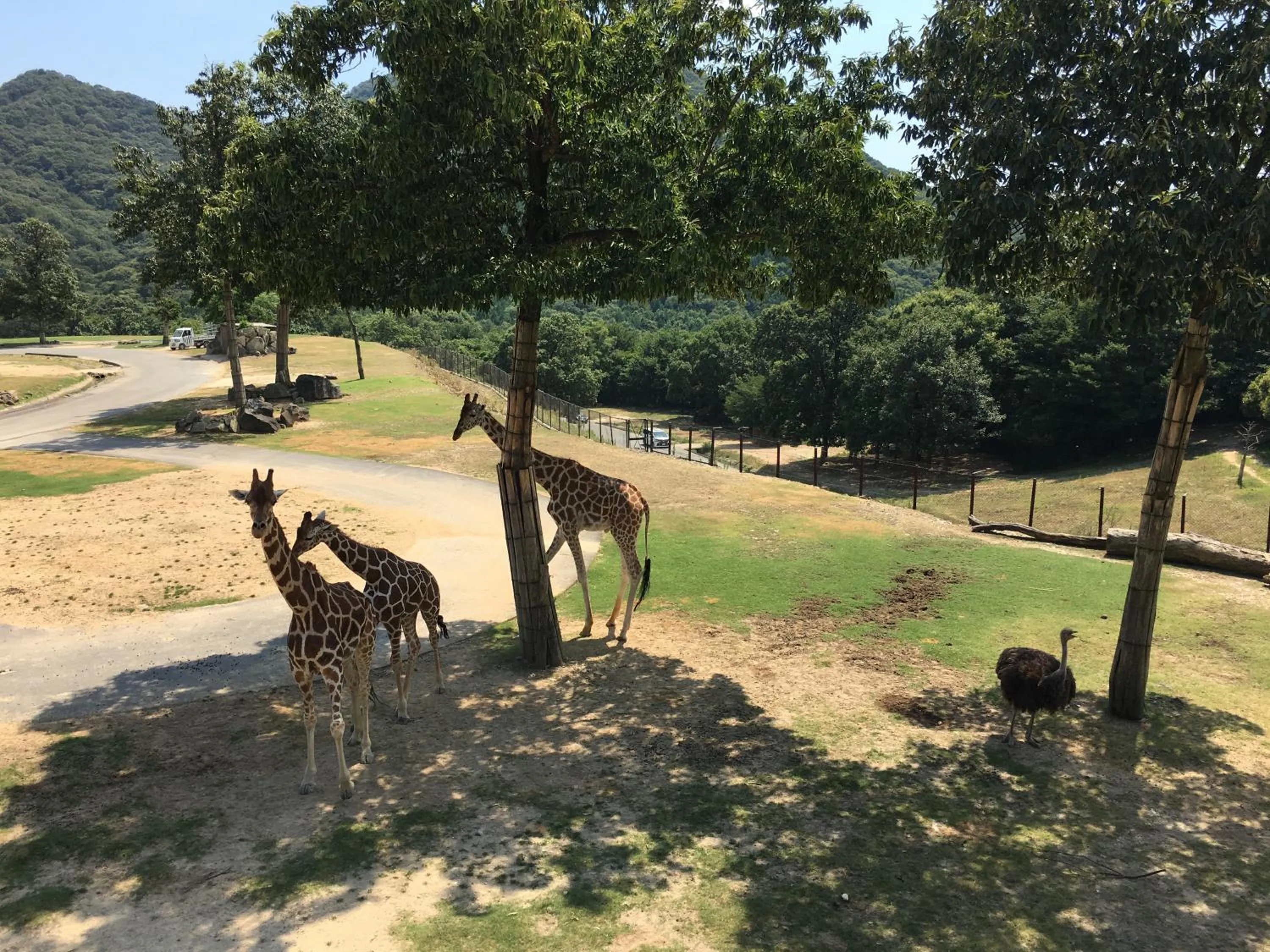 Nearby landmark in Shironoshita Guesthouse