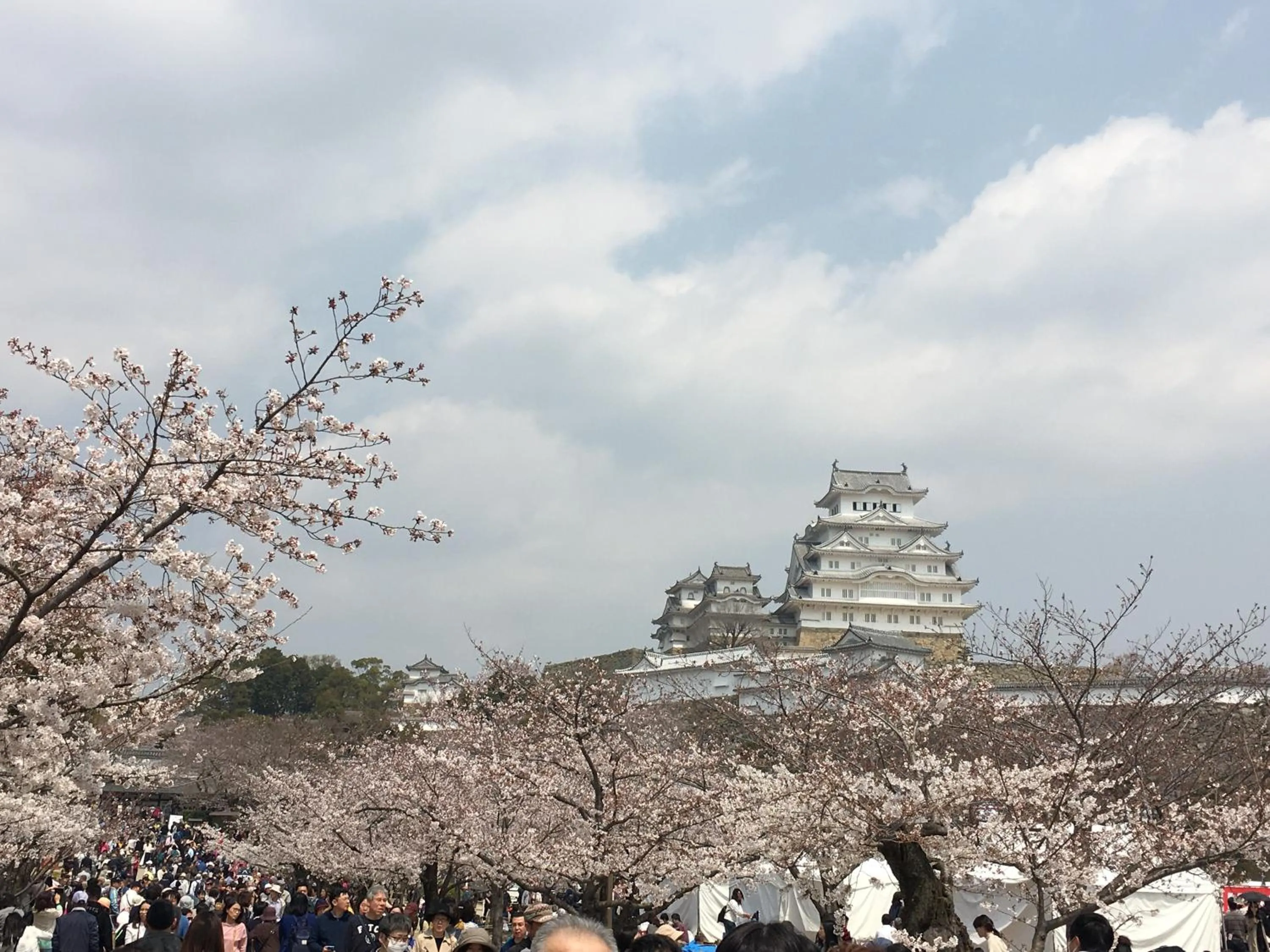 Nearby landmark in Shironoshita Guesthouse