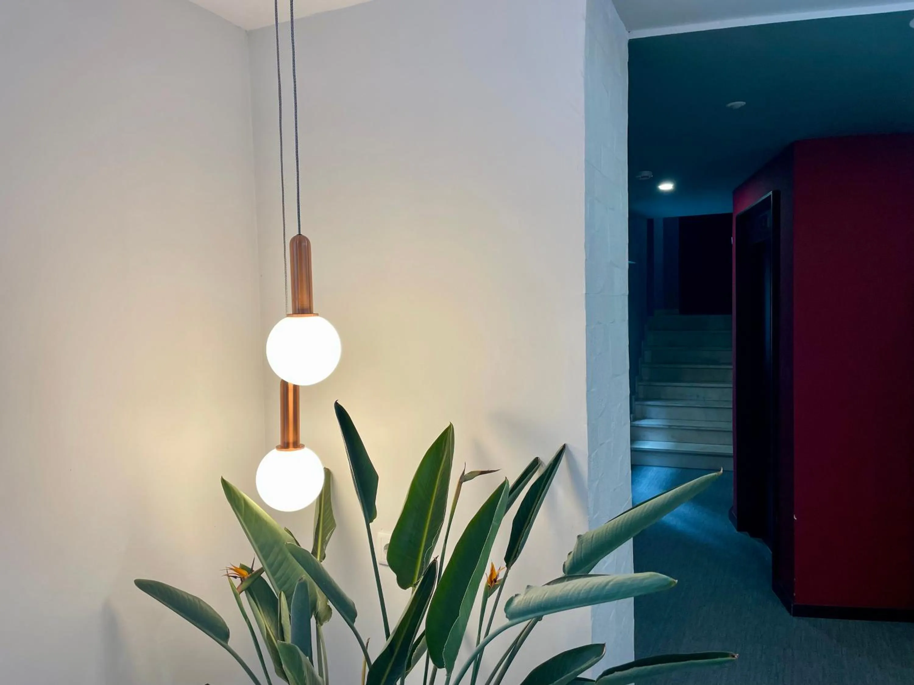 Property building in MD Design Hotel - Portal del Real