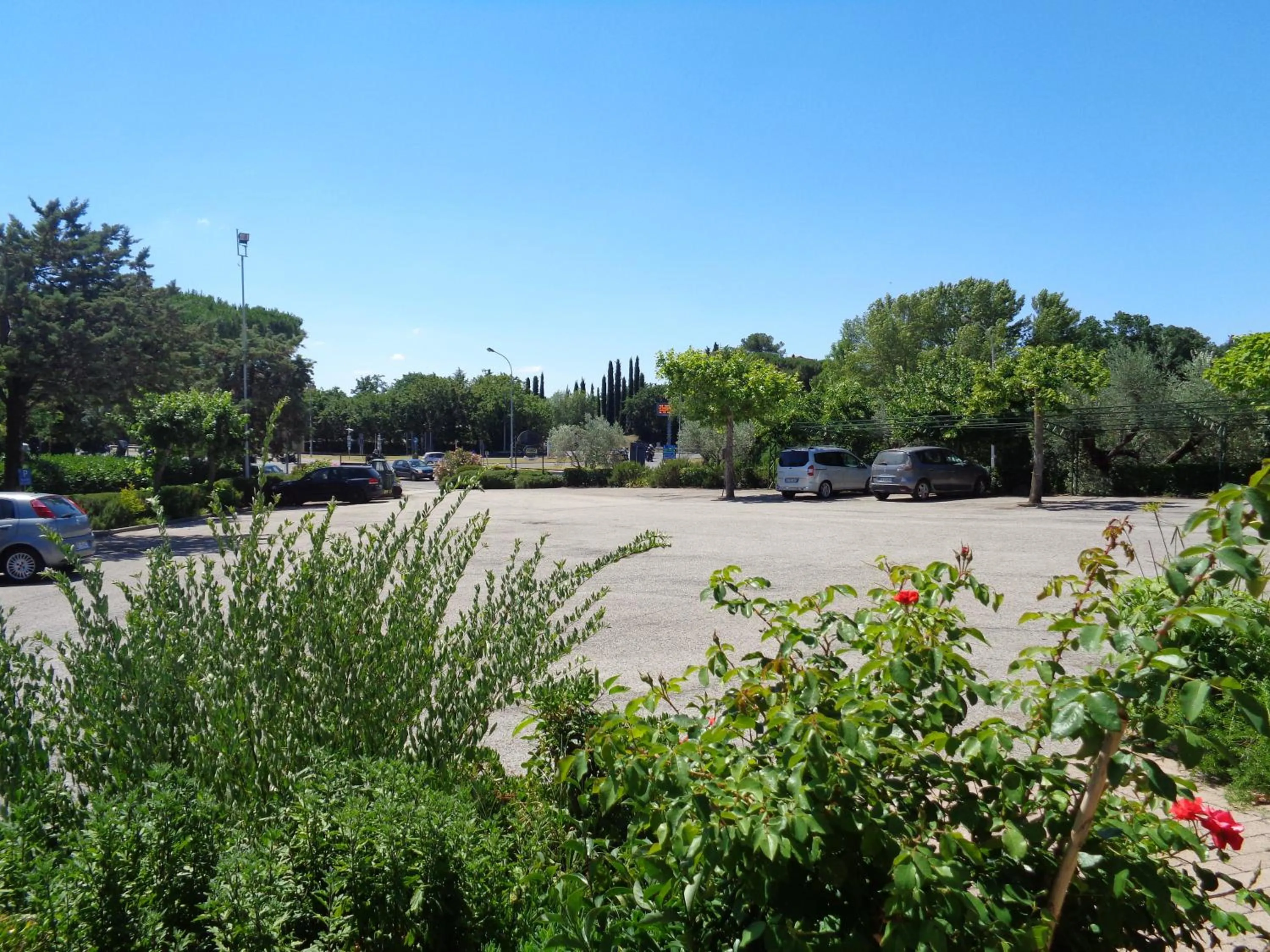 Natural landscape in Hotel Rosati