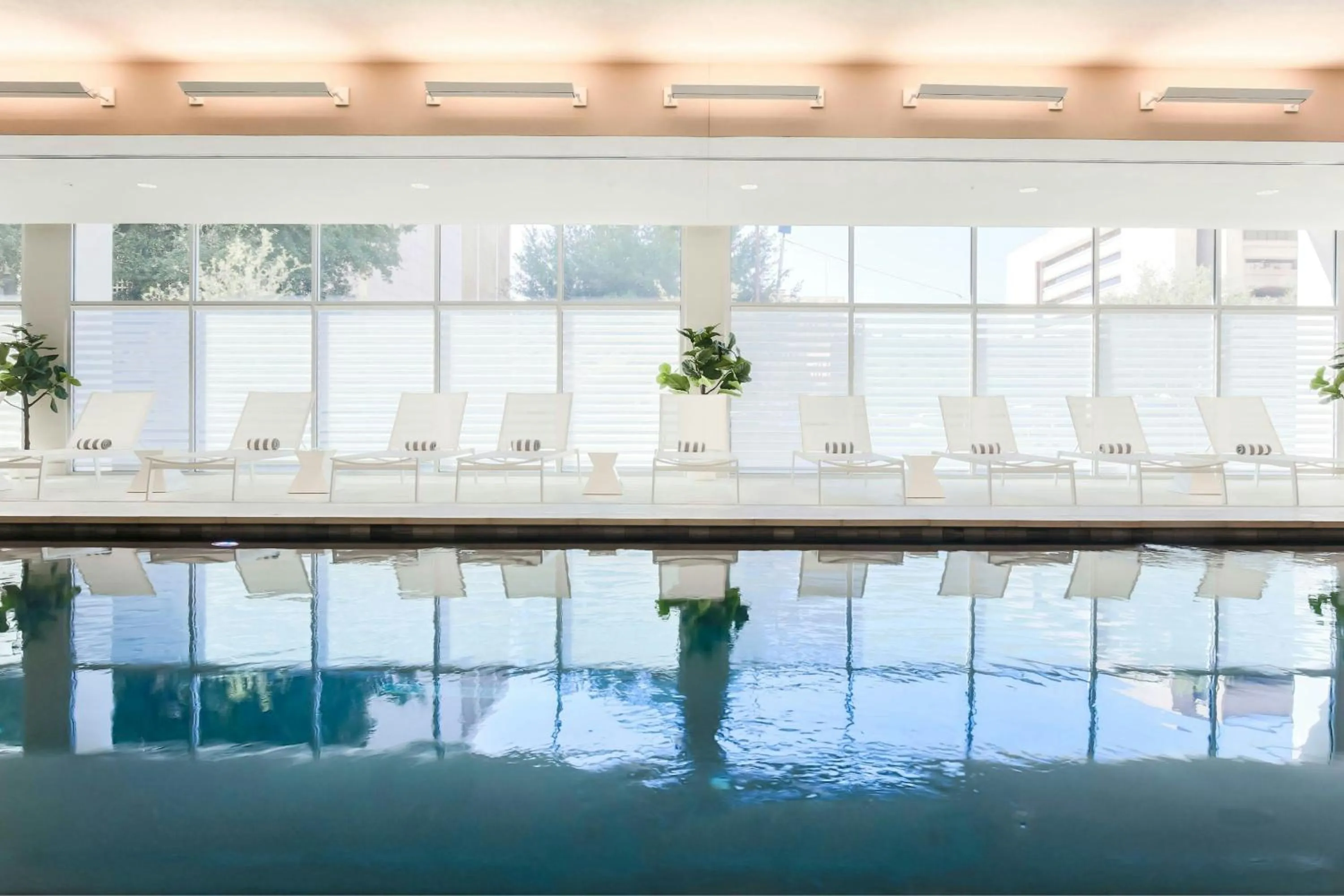 Swimming pool in Residence Inn by Marriott Dallas Downtown