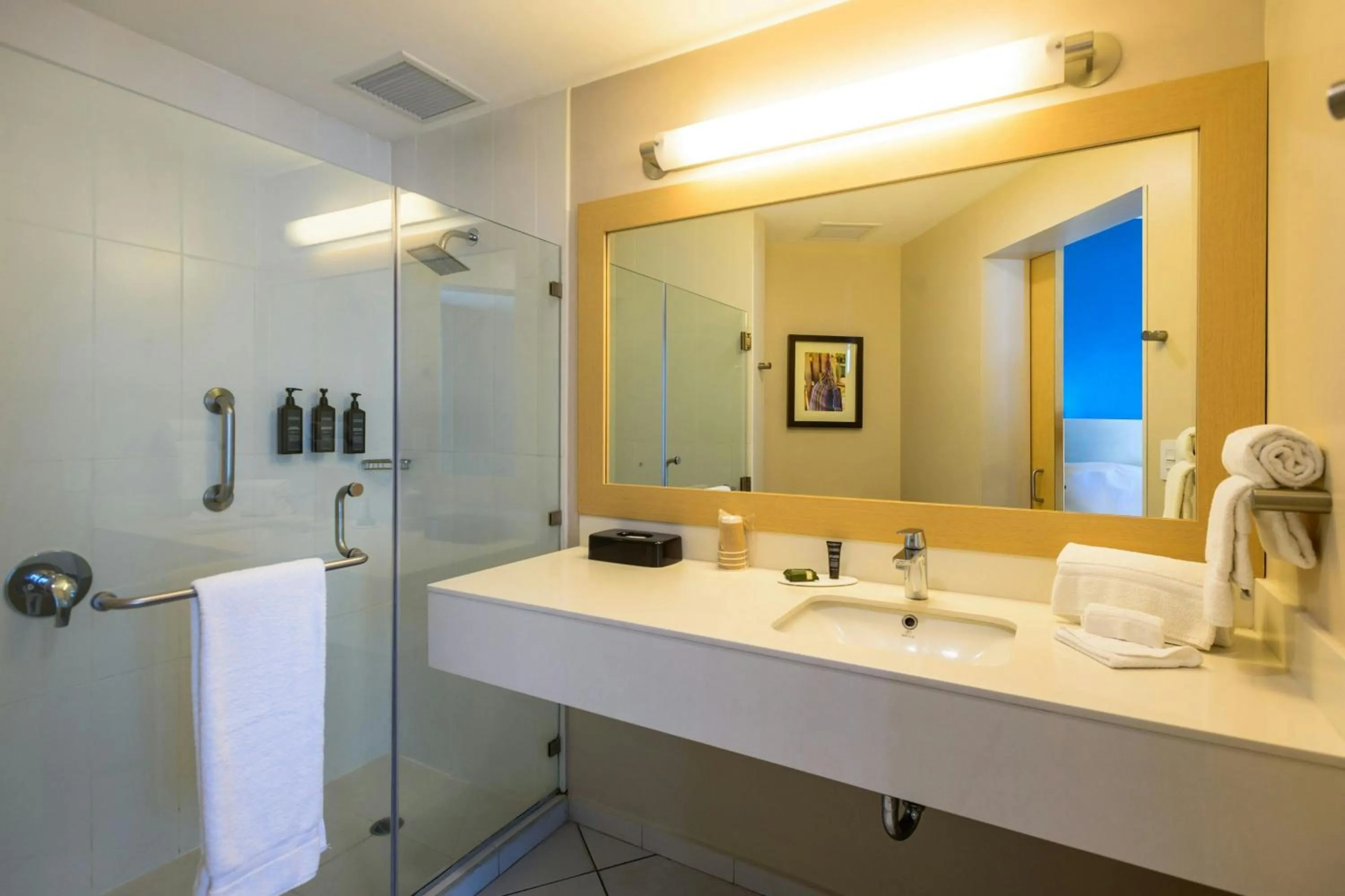 Bathroom in Fairfield by Marriott San Salvador