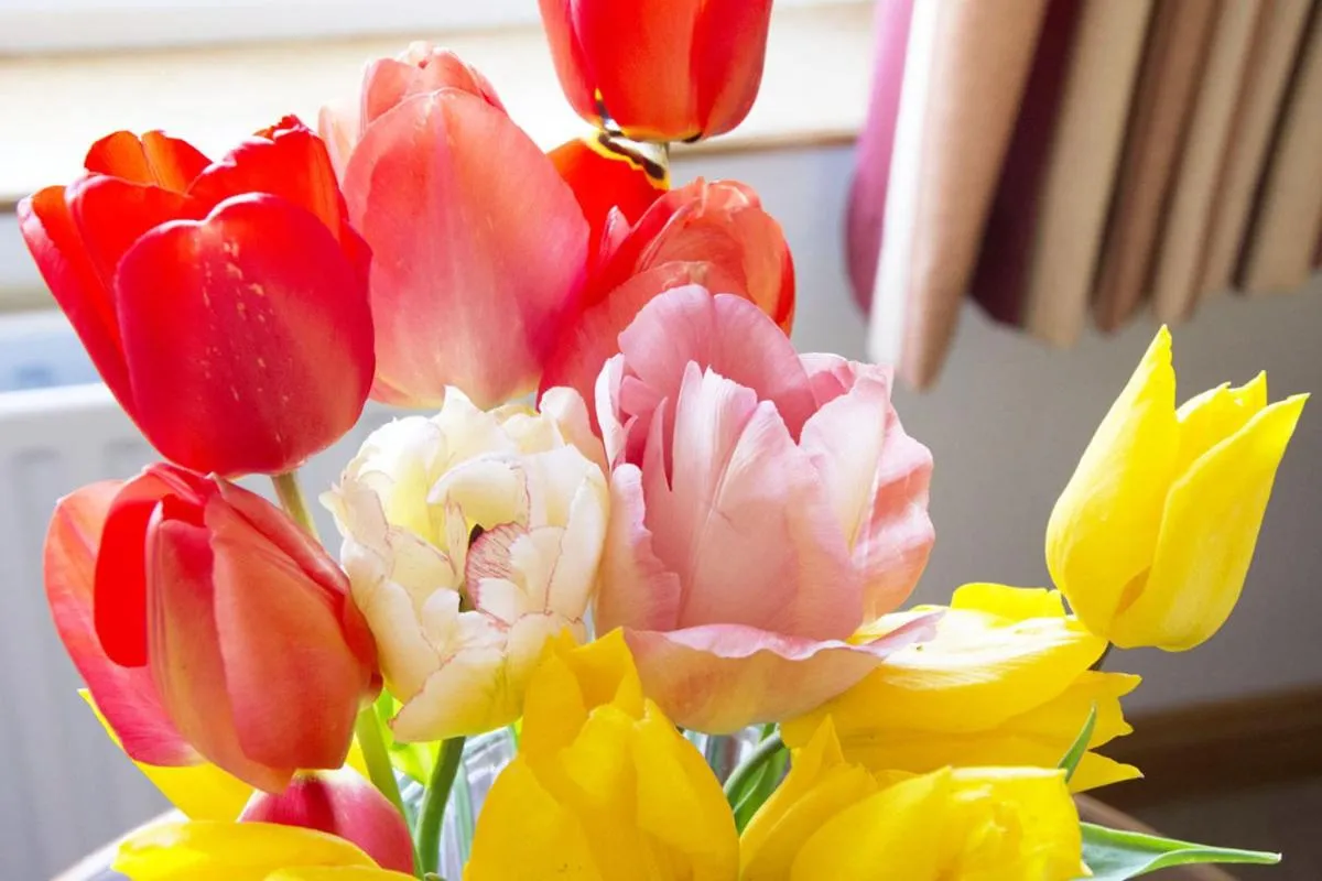 Achill Cliff House Hotel & Restaurant