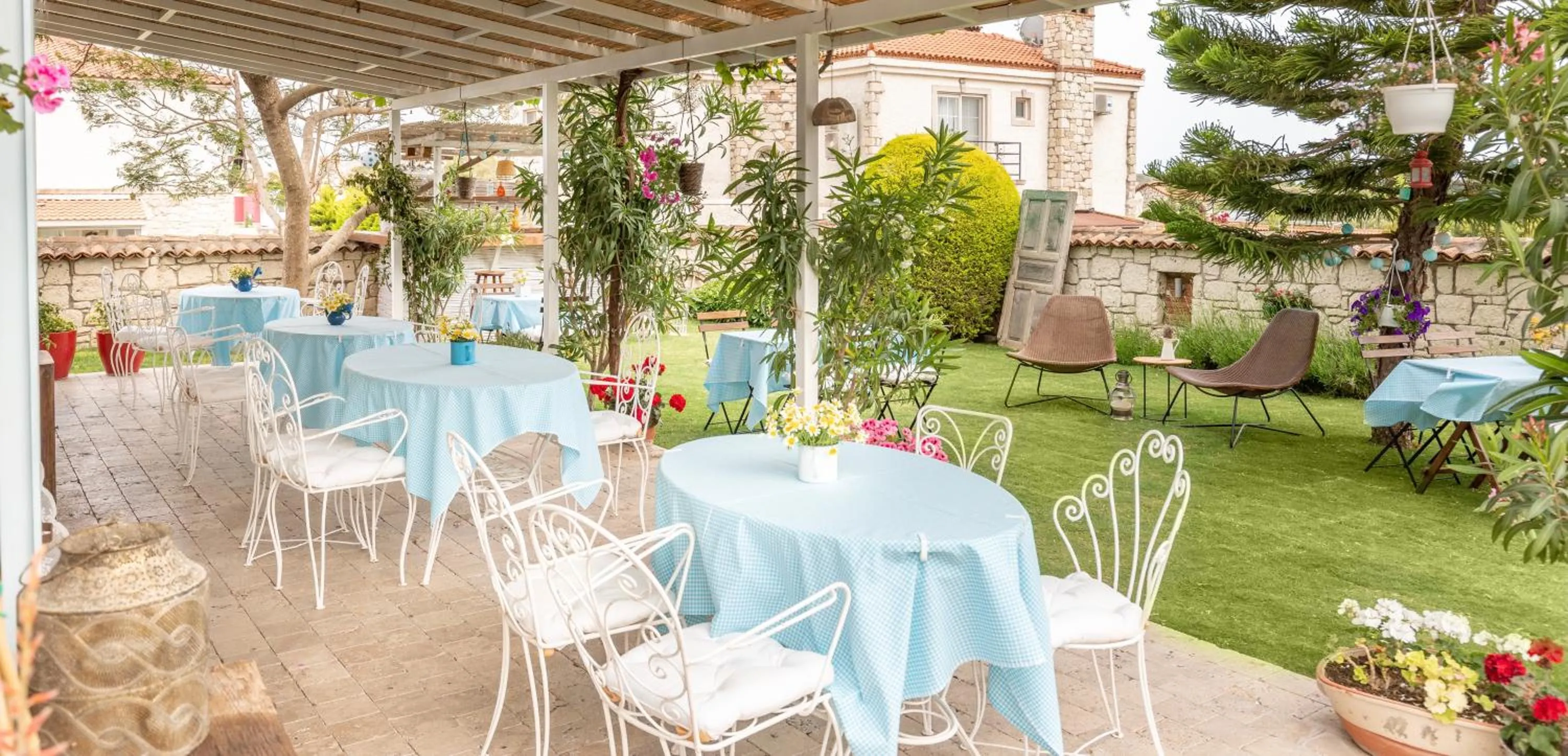 Restaurant/places to eat in Deniz Kabugu Hotel