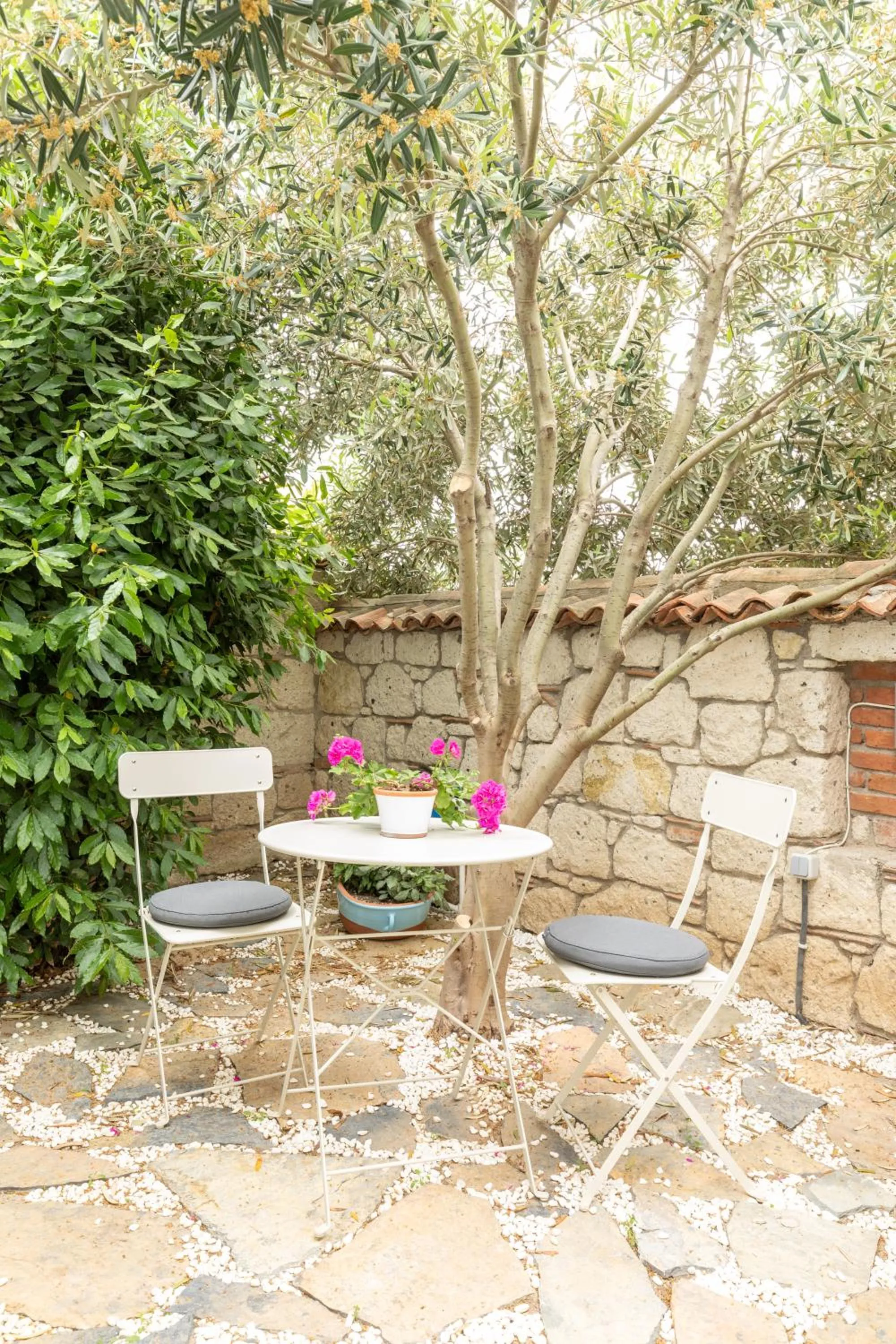 Patio in Deniz Kabugu Hotel
