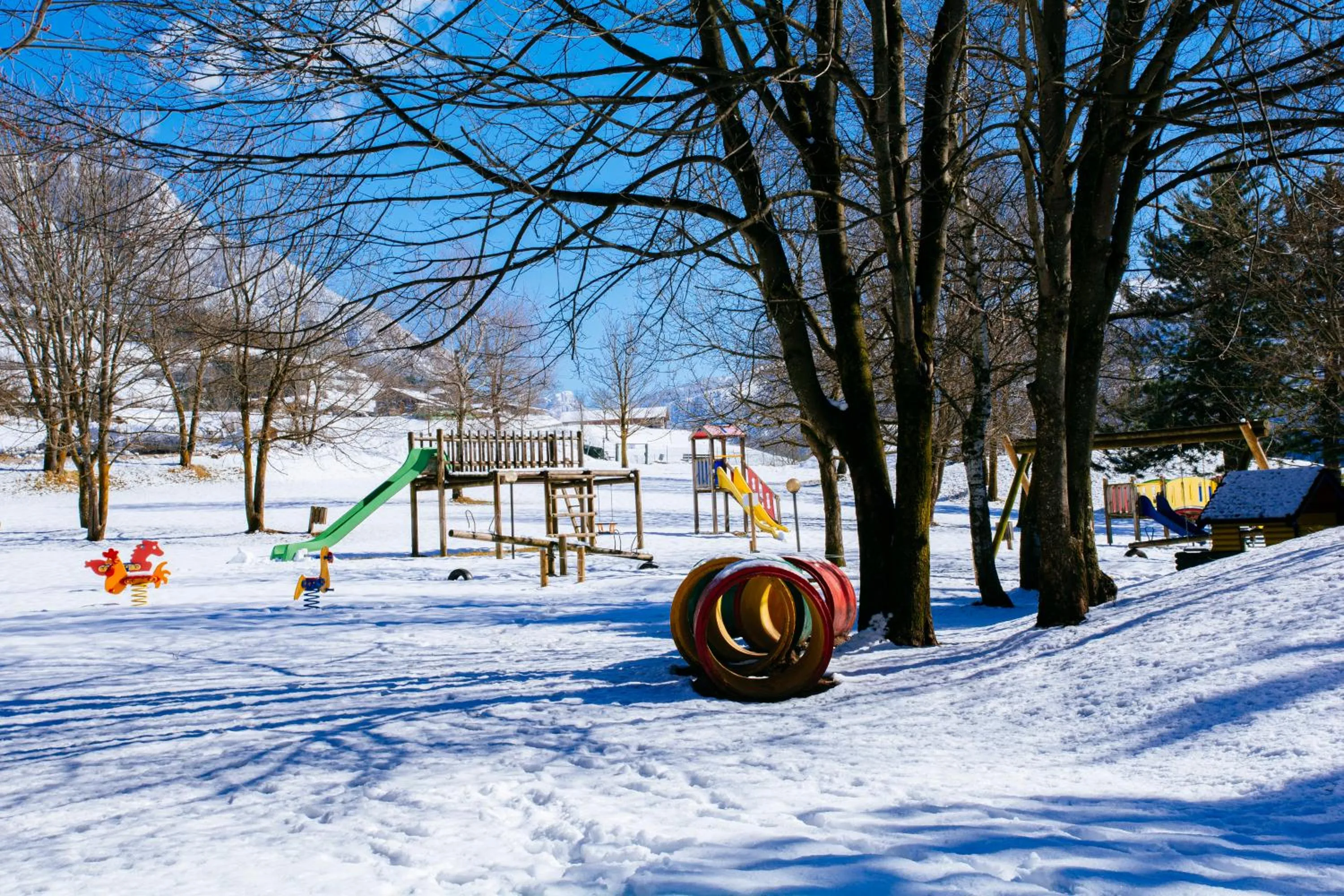 Garden in Aparthotel Des Alpes
