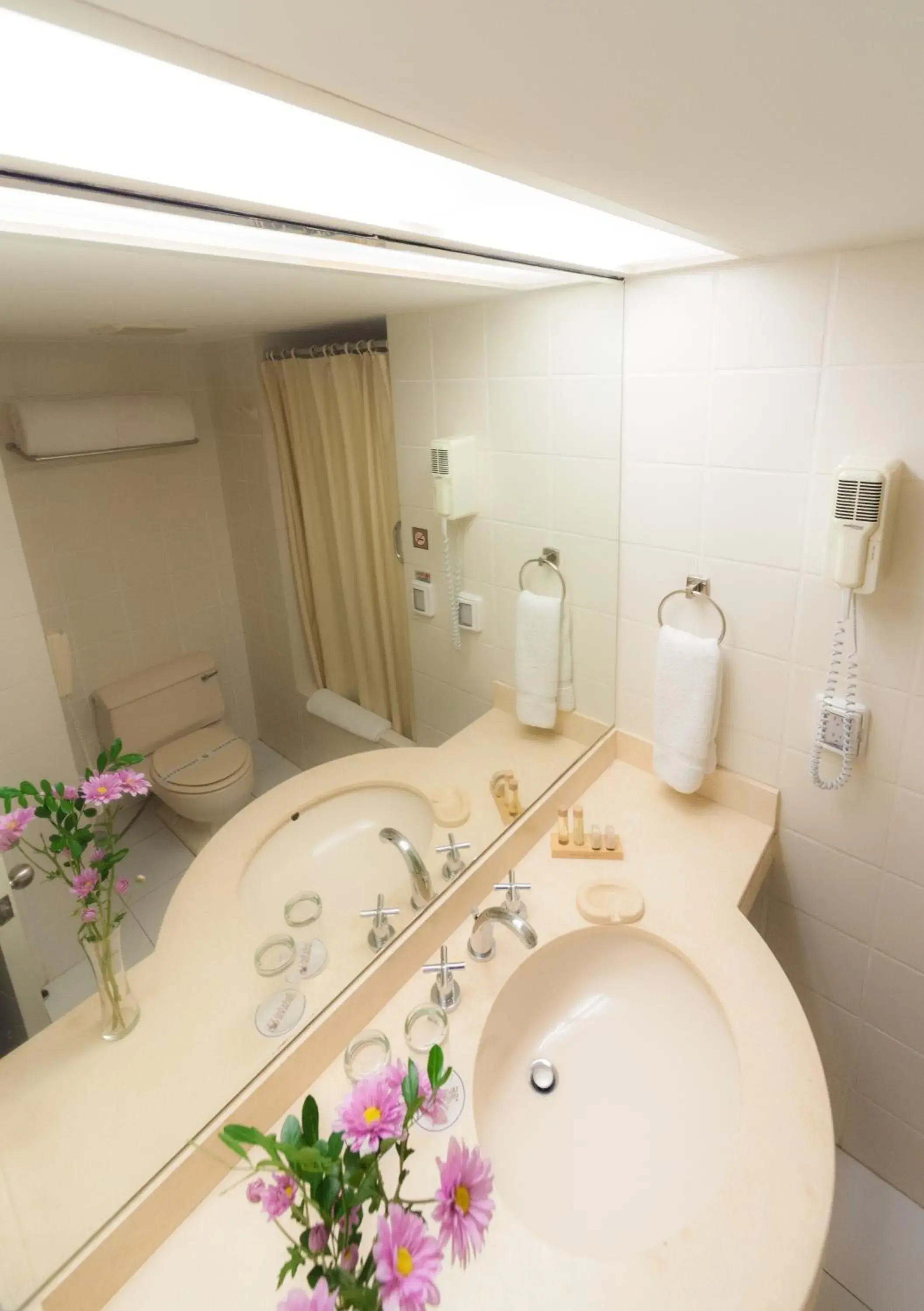 Bathroom in Roosevelt Hotel & Suites Bathroom in Roosevelt Hotel & Suites