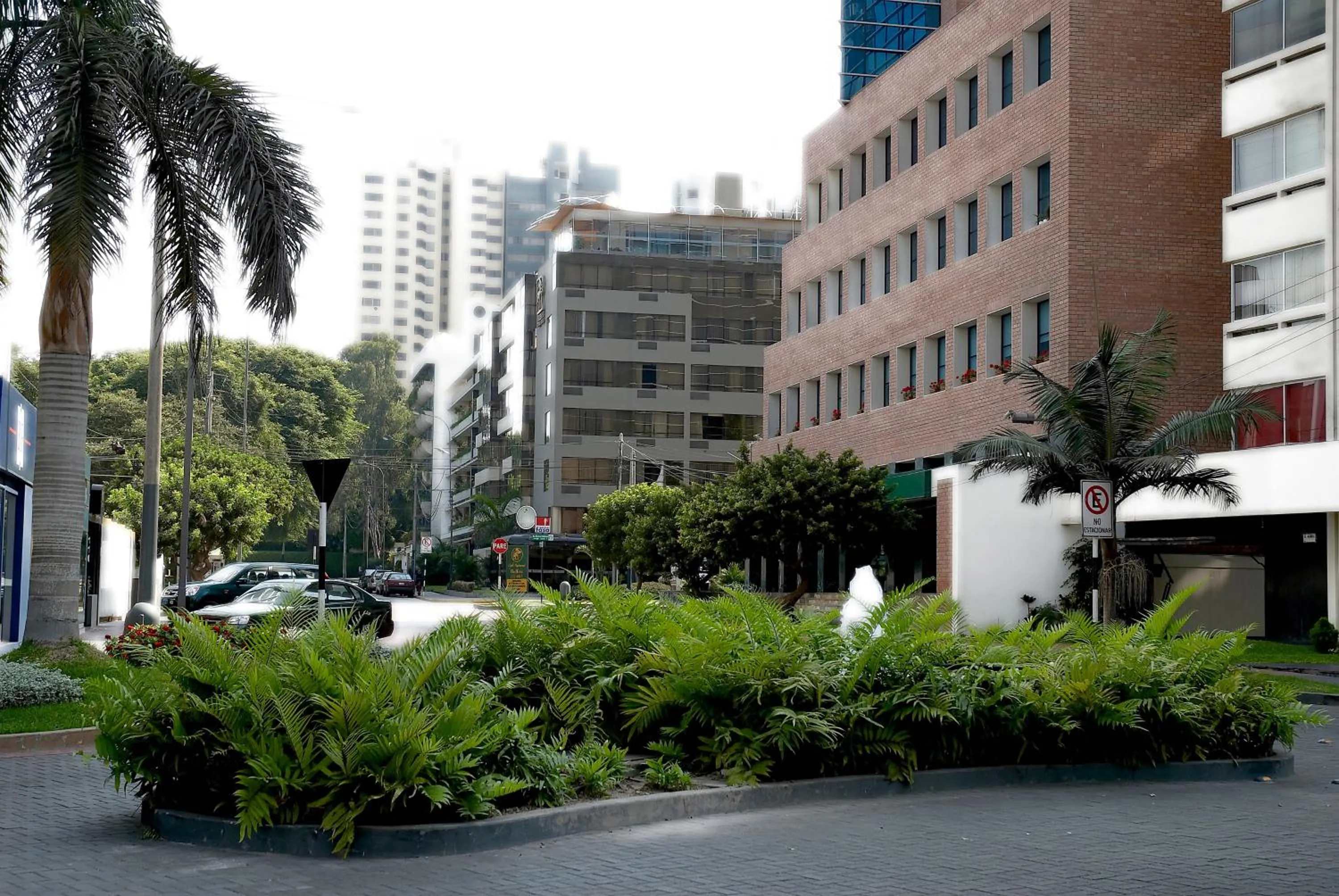 Area and facilities in Roosevelt Hotel & Suites