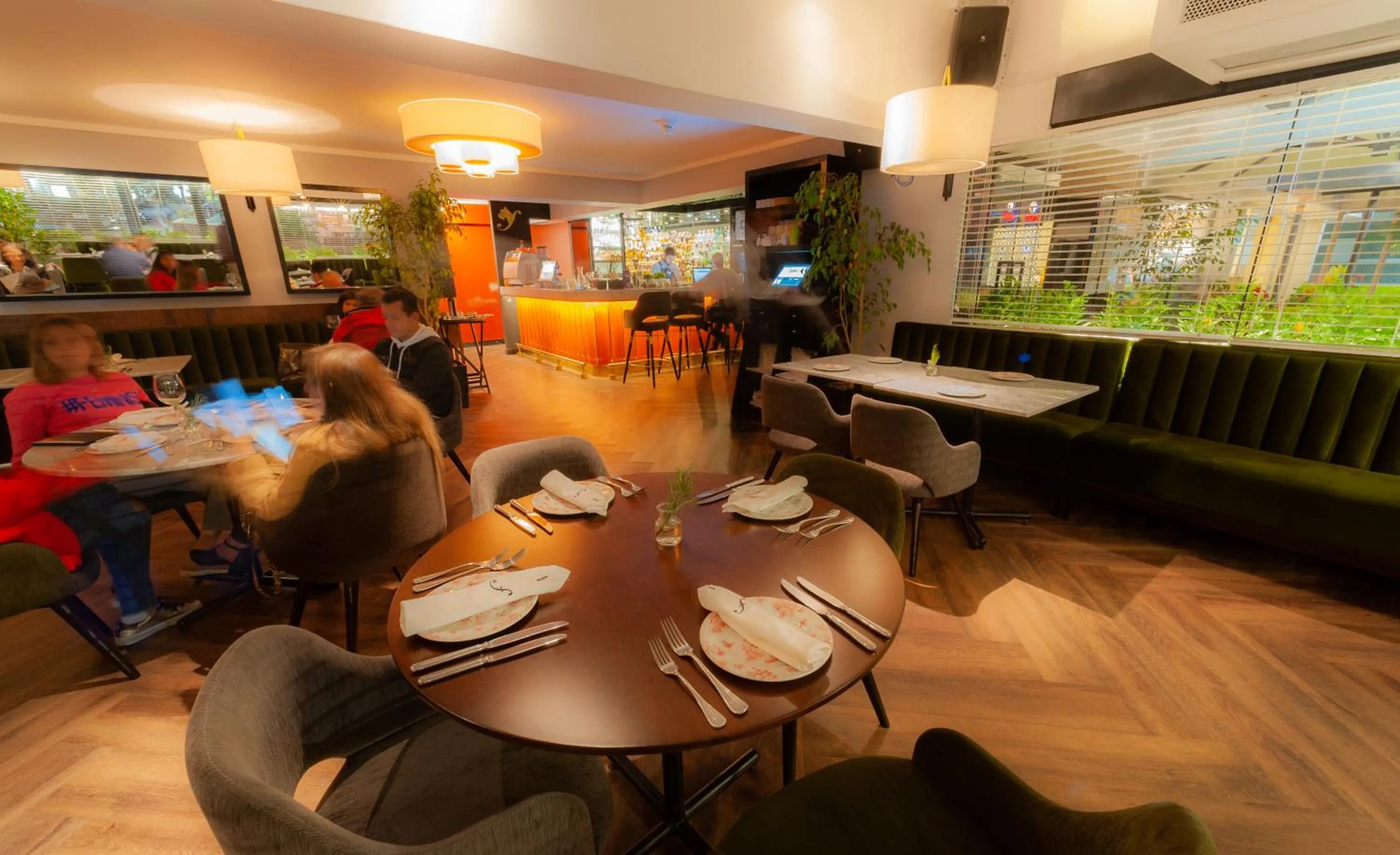 Restaurant/places to eat in Roosevelt Hotel & Suites