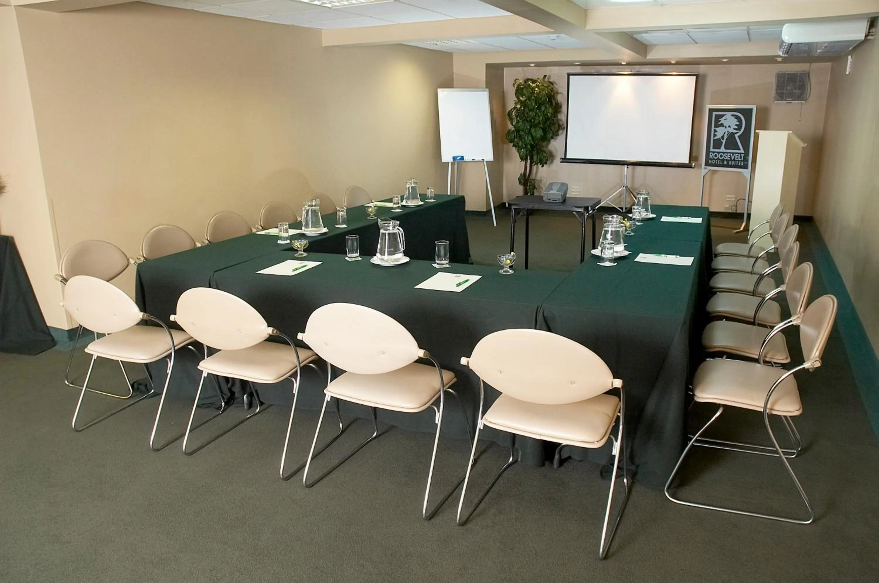 Meeting/conference room in Roosevelt Hotel & Suites