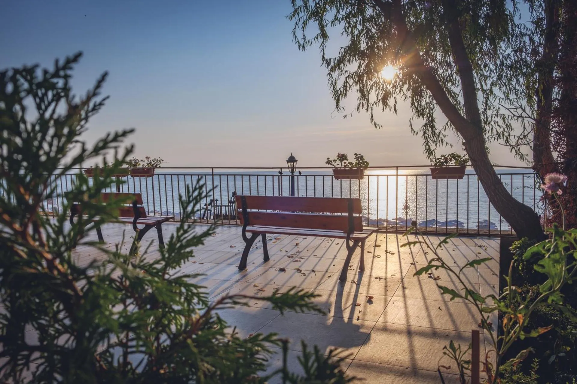 Natural landscape in ELPIDA Hotel - All Inclusive & Beach Front