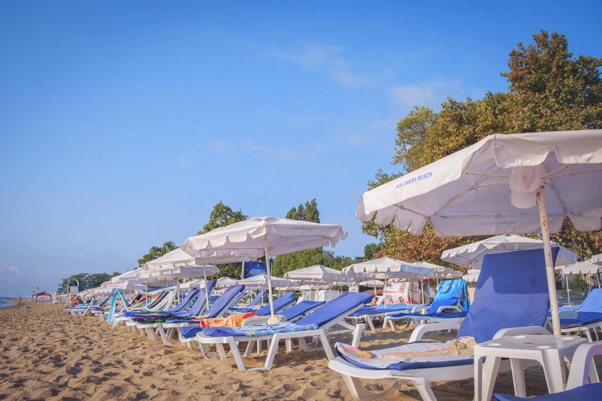 Beach in ELPIDA Hotel - All Inclusive & Beach Front