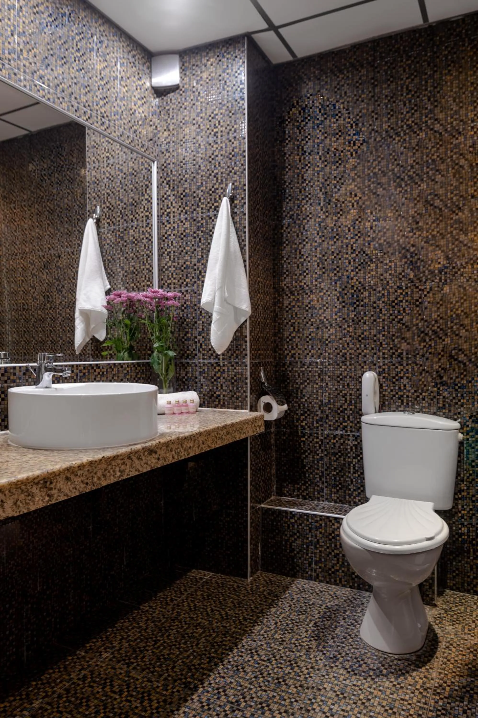 Toilet in ELPIDA Hotel - All Inclusive & Beach Front