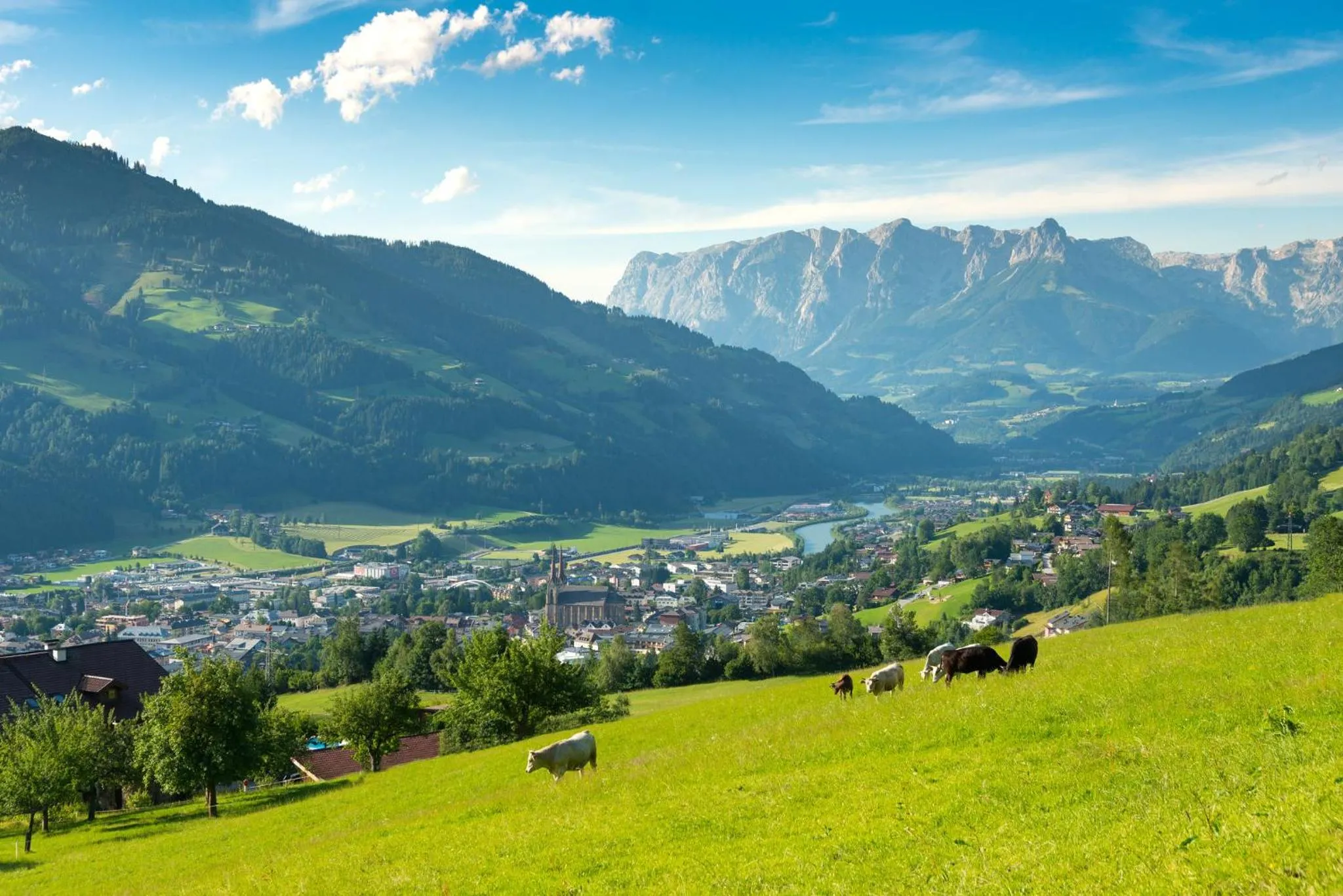 Natural landscape in Hotel Hubertus