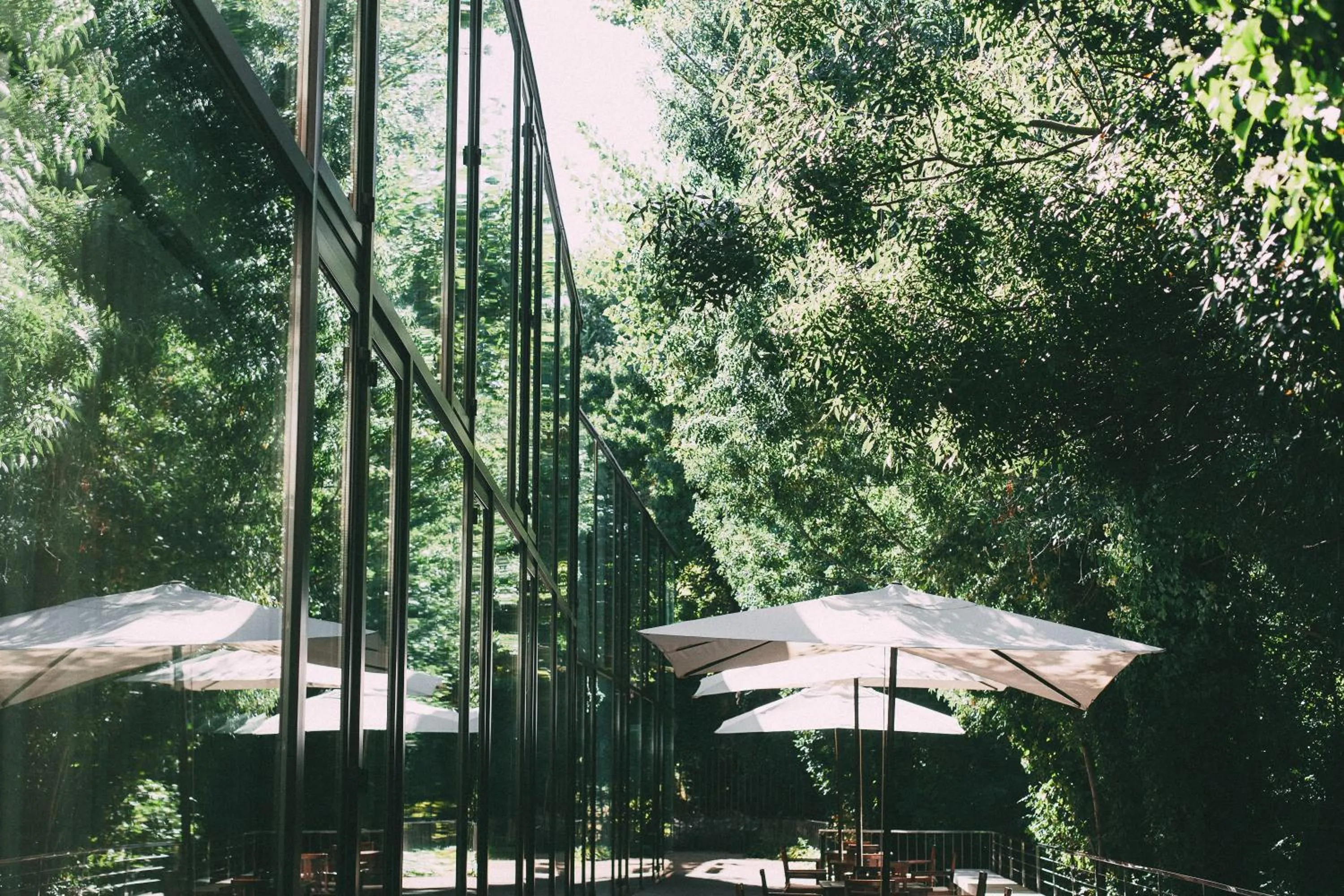 Patio in Fuente Aceña Hotel Boutique