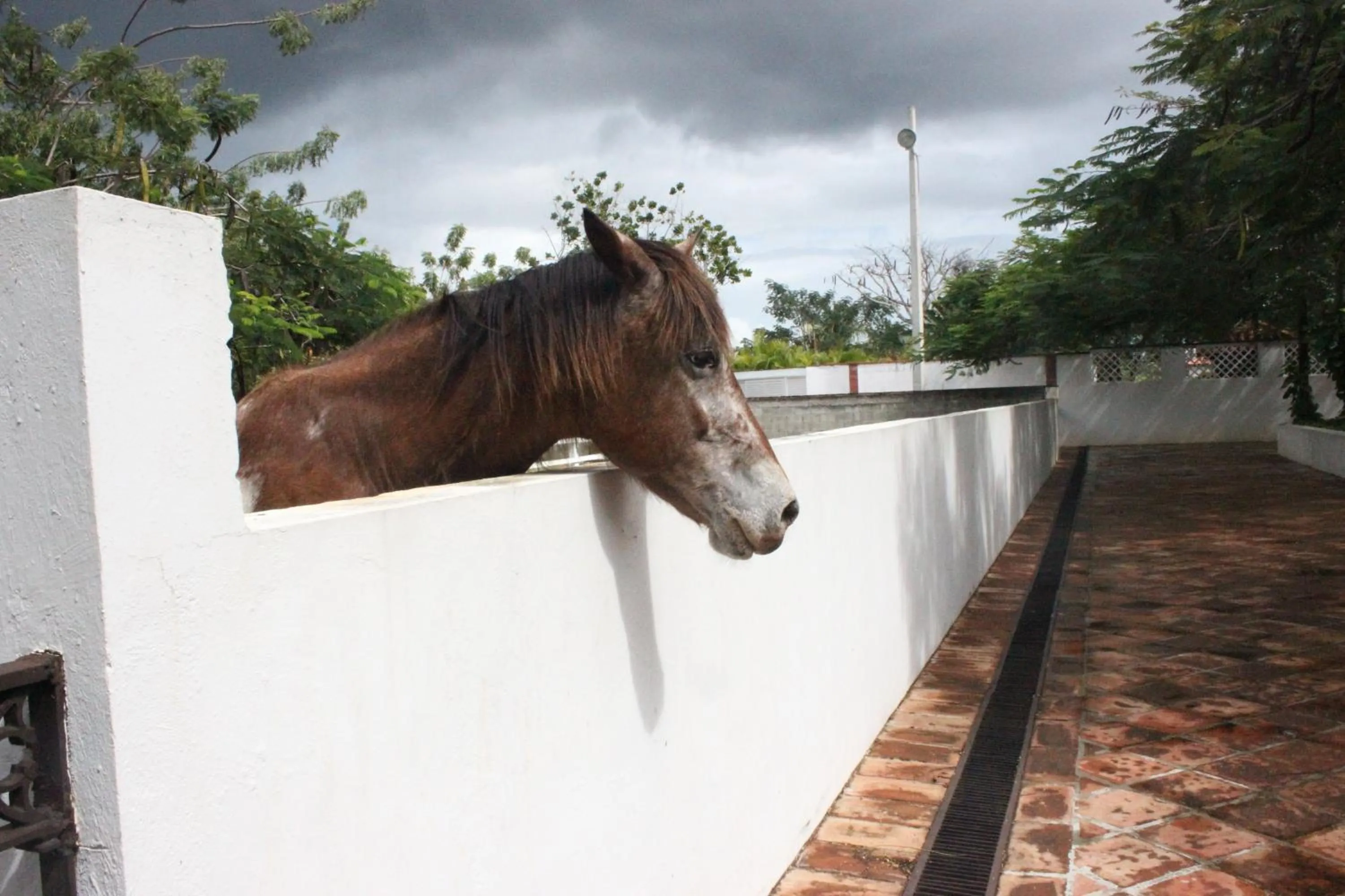 Bellomar I Exclusive Juan Dolio Playa Hemingway