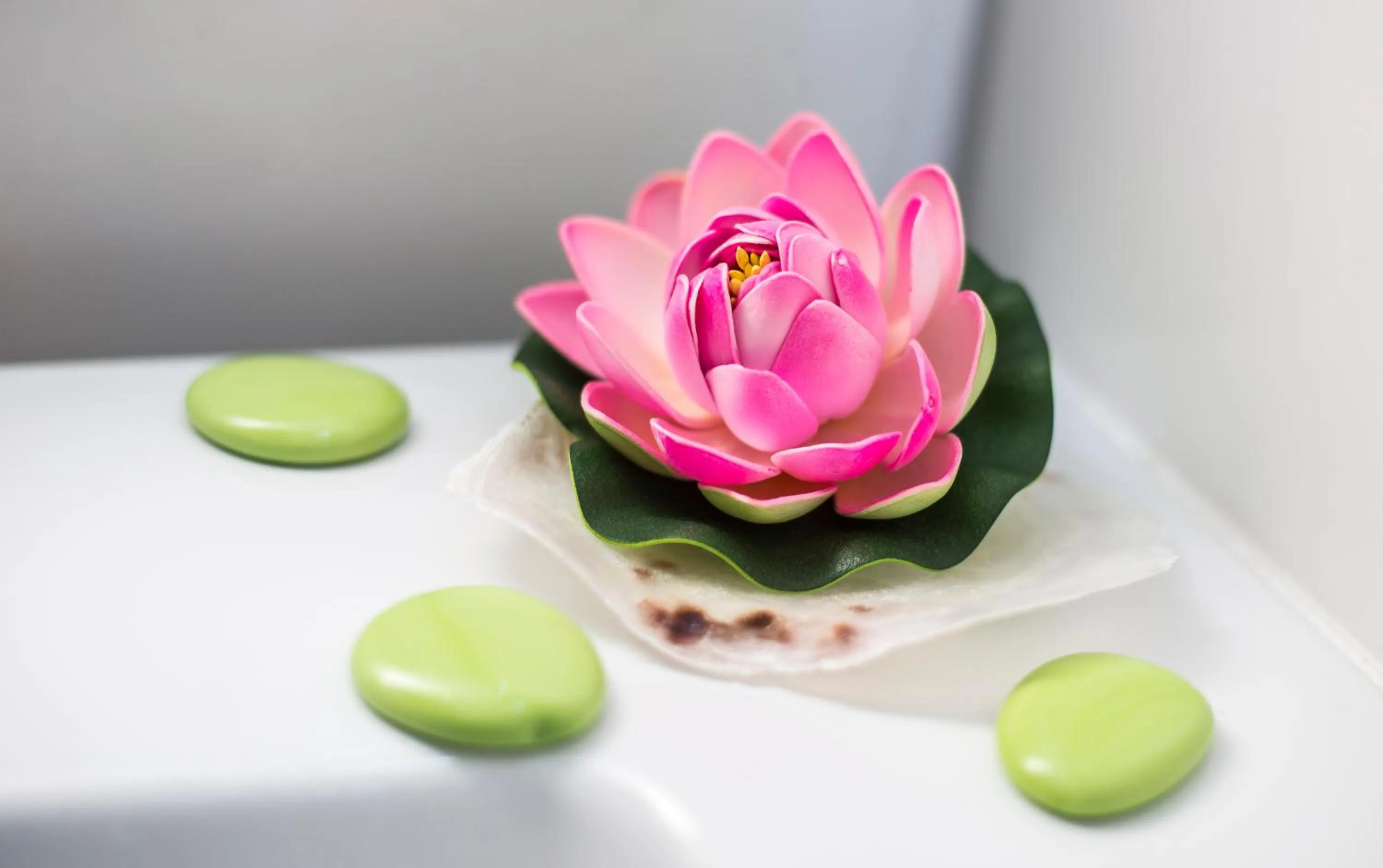 Decorative detail in Holiday Club Apartman Hotel