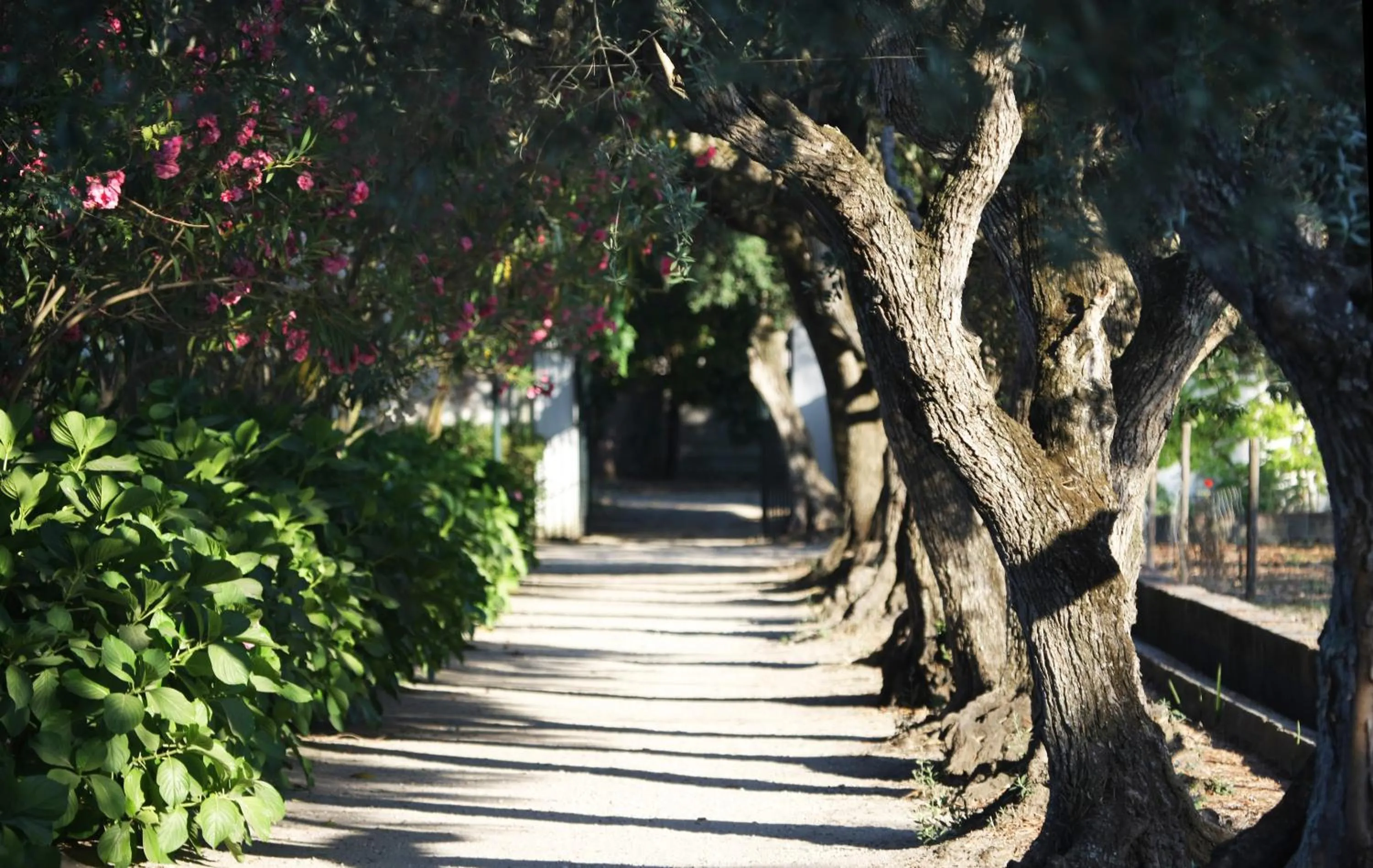 Garden in Quinta Da Praia Das Fontes