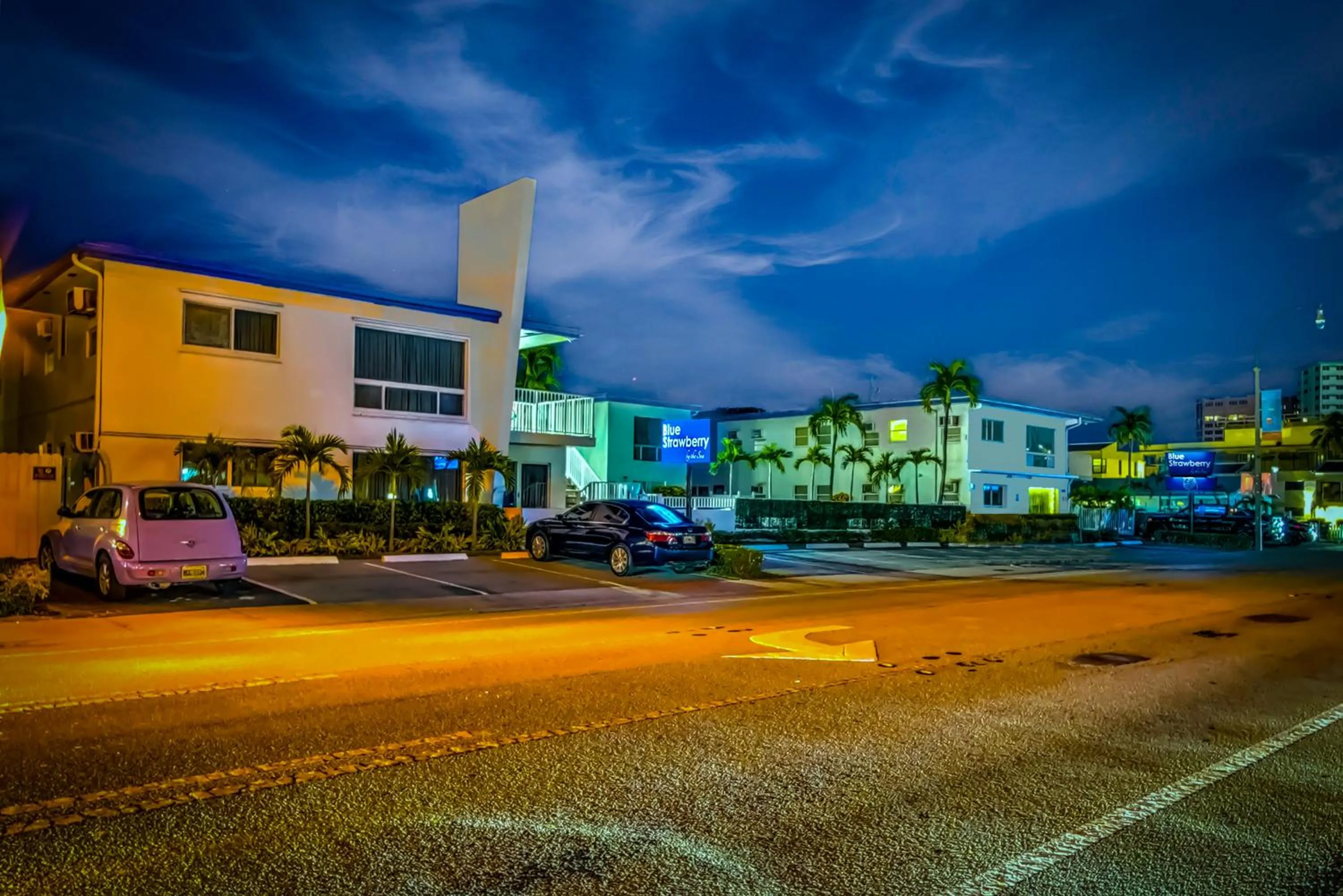 Night in Blue Strawberry by the Sea
