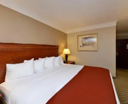 Bed in Baymont by Wyndham Madisonville