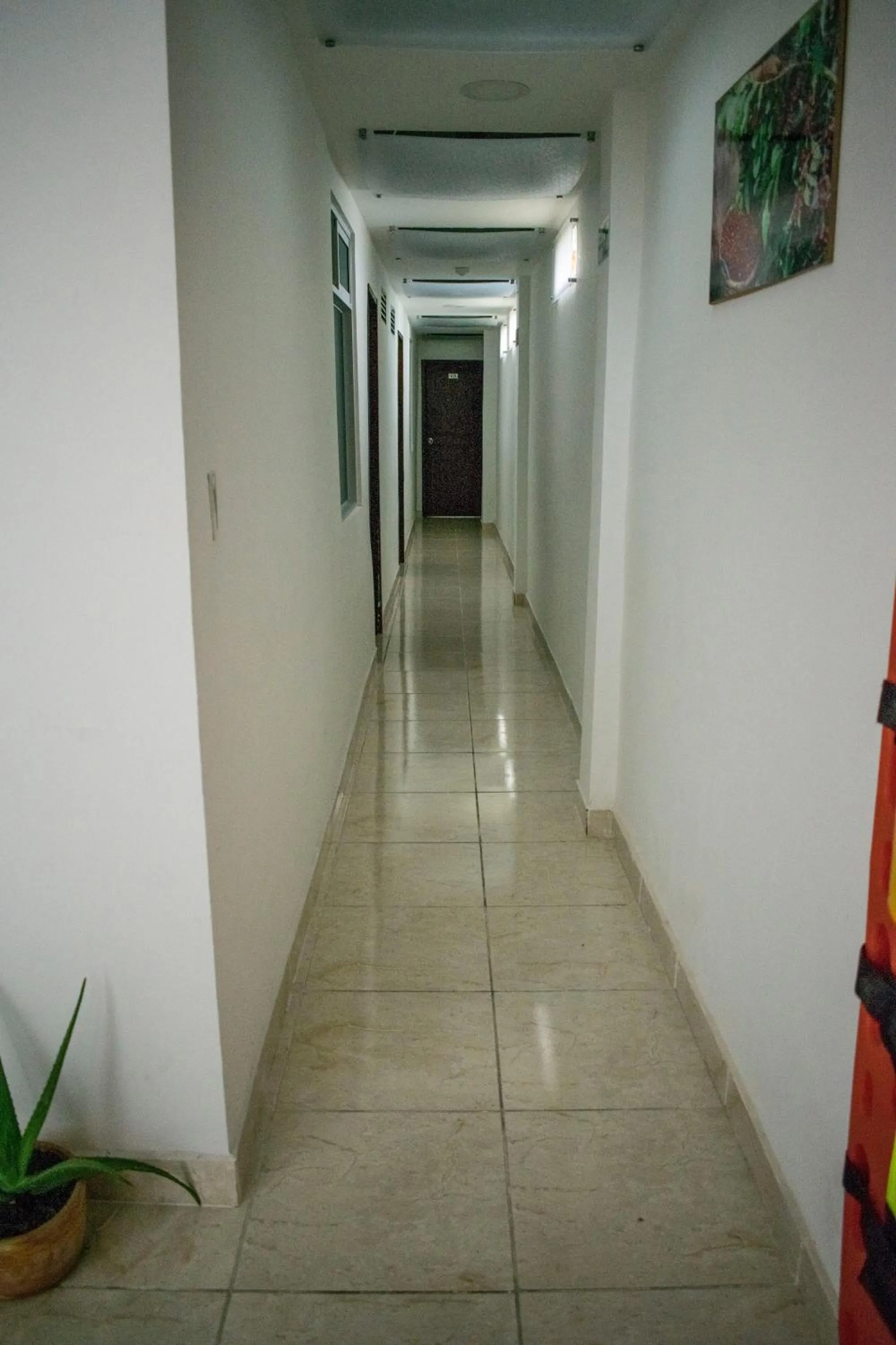 Hotel Casa Alejandria