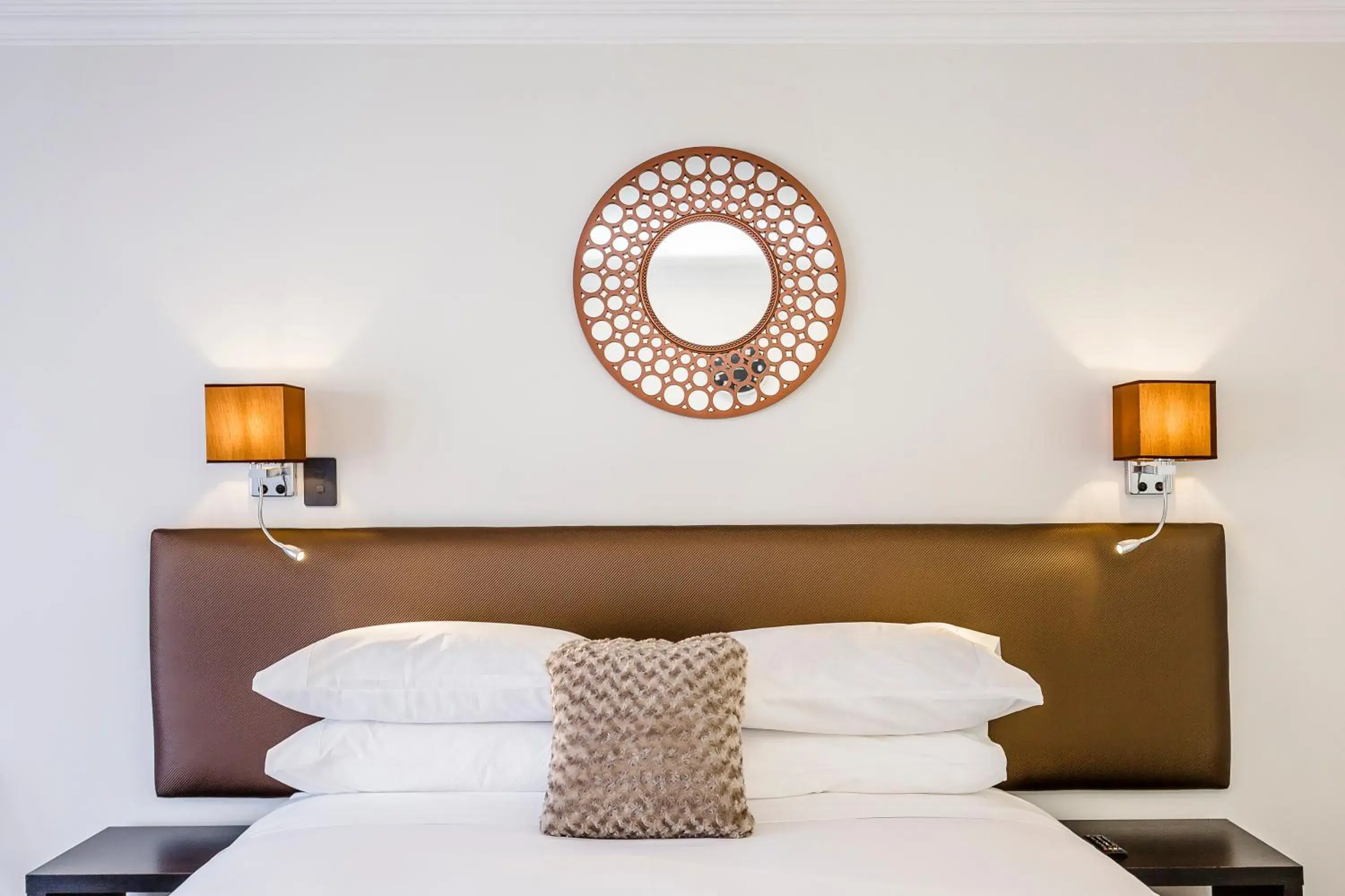 Superior Apartment - Interconnected Studio Apartments Available in Superior Dunedin Apartments Superior Apartment - Interconnected Studio Apartments Available in Superior Dunedin Apartments