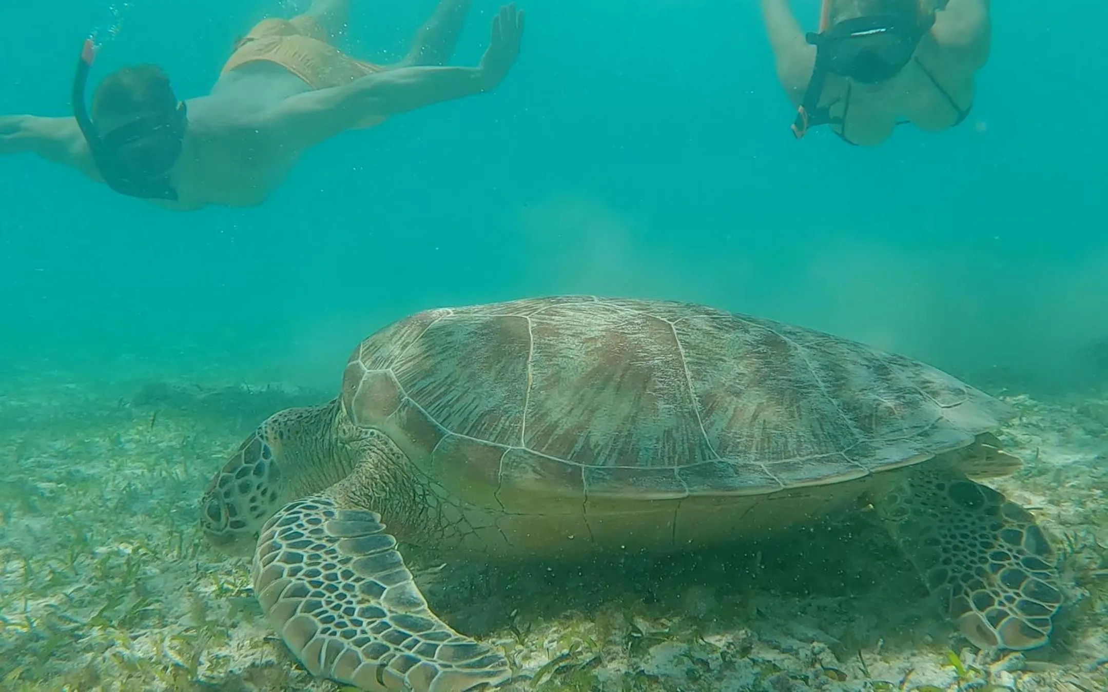 Snorkeling in Vila Ombak