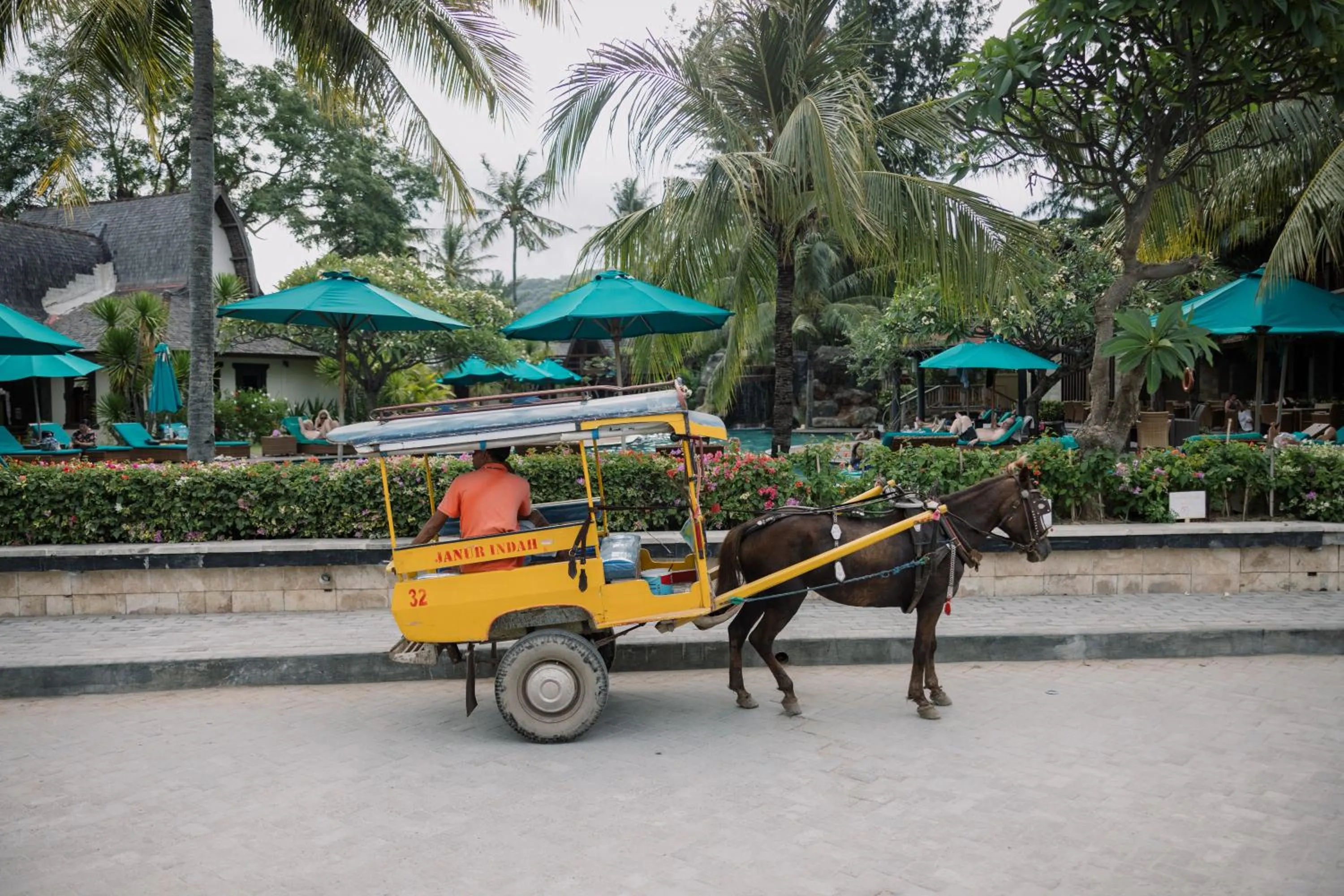 Activities in Vila Ombak