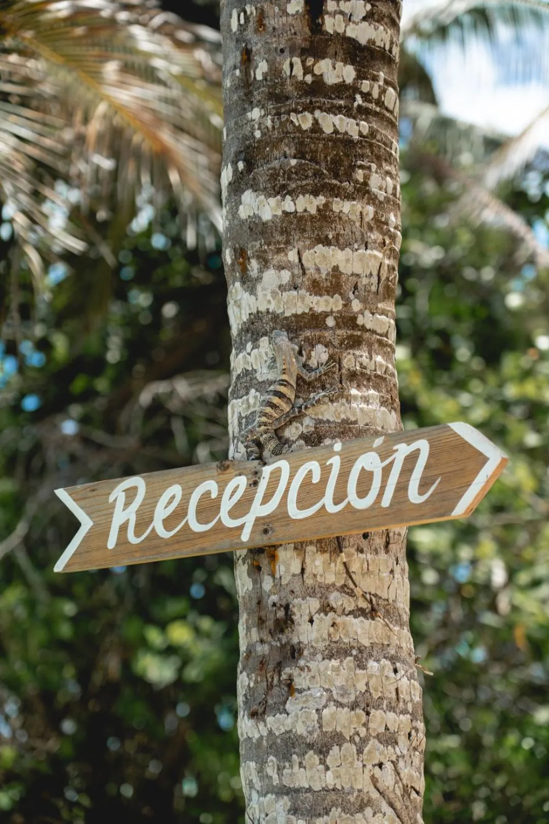 Property logo or sign in Hotel La Casa Cielo solo adultos