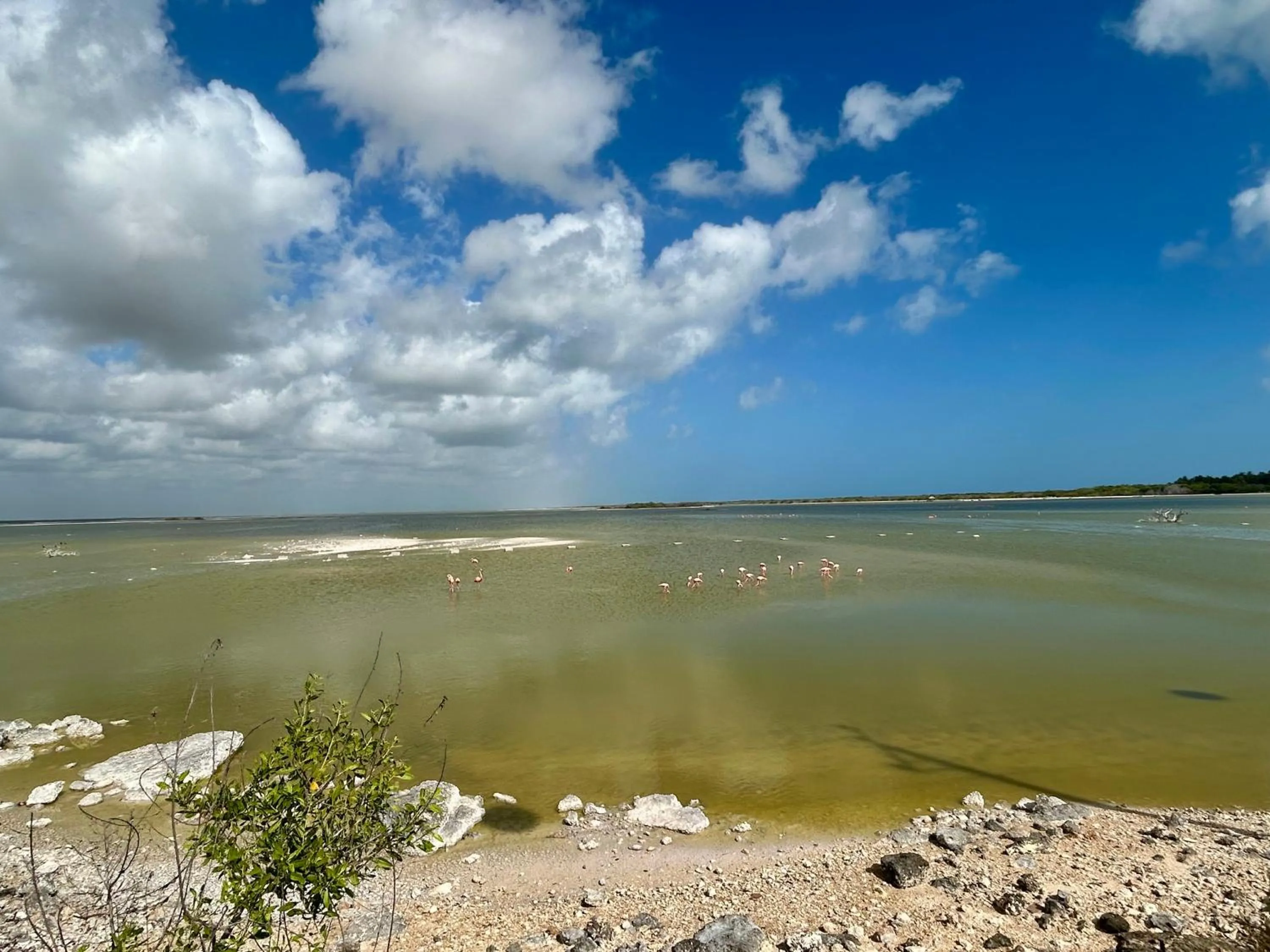 Natural landscape in Hotel La Casa Cielo solo adultos