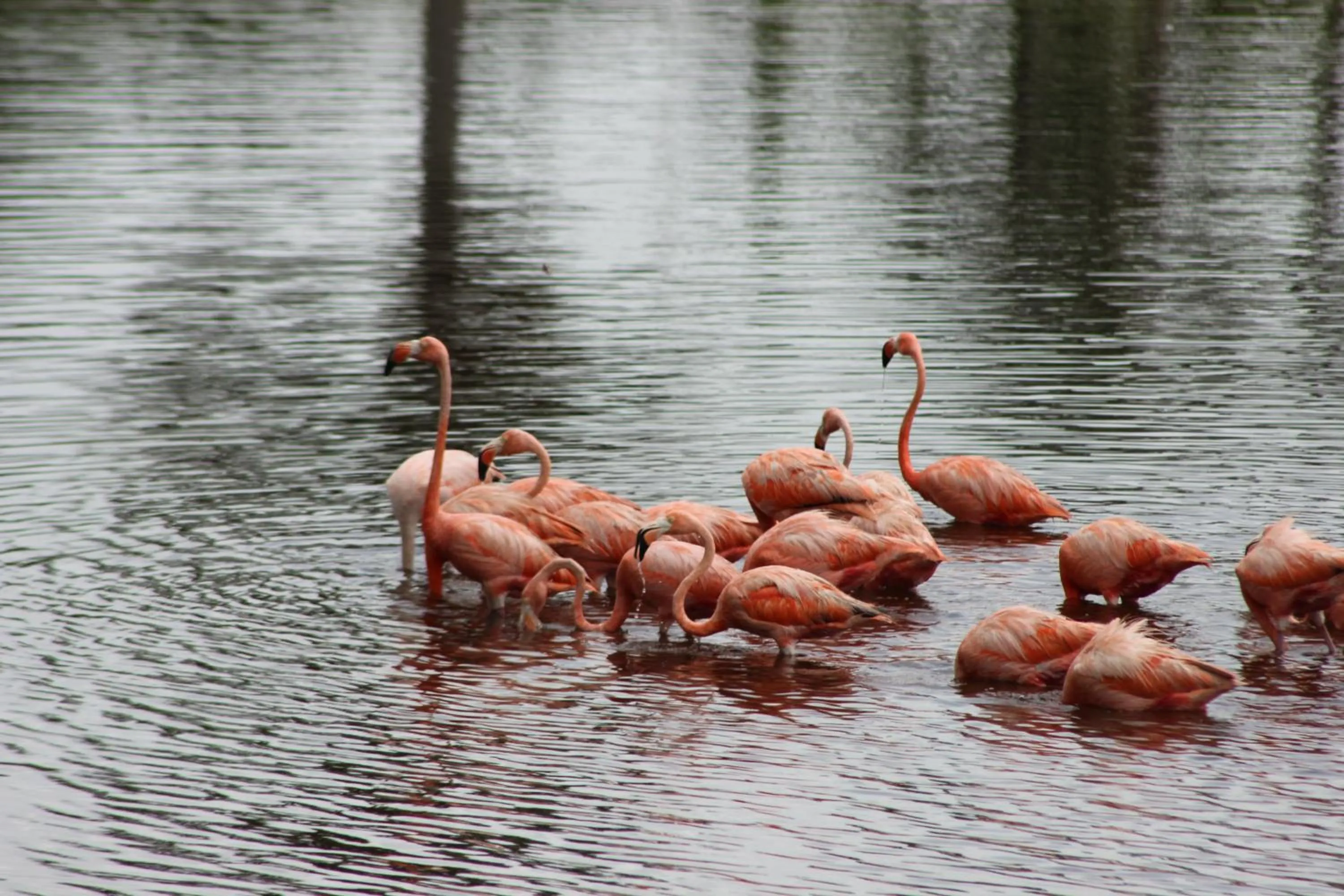Natural landscape in Hotel La Casa Cielo solo adultos