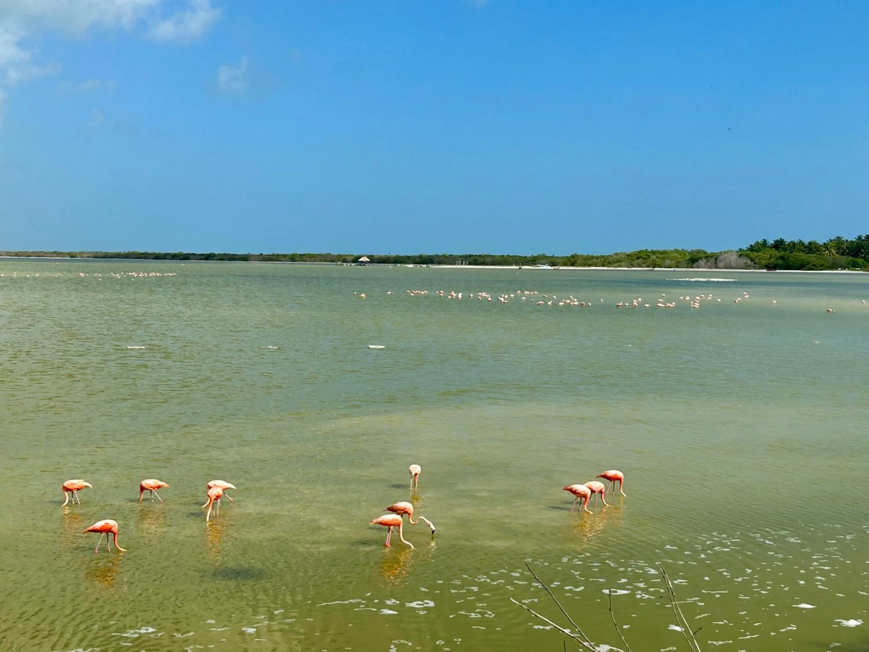 Natural landscape in Hotel La Casa Cielo solo adultos