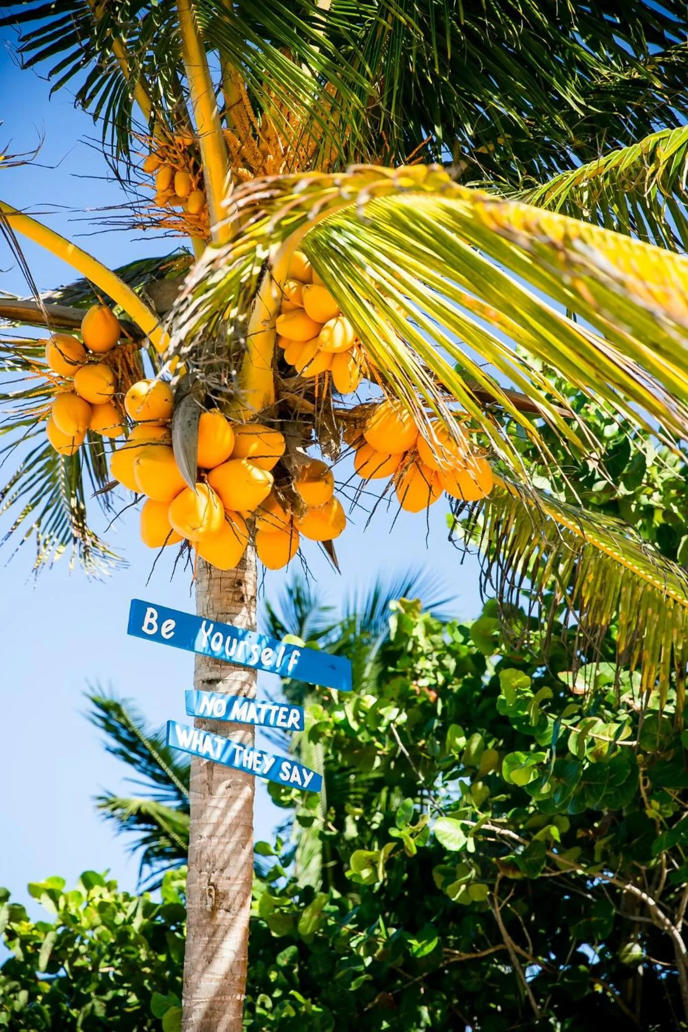 Decorative detail in Hotel La Casa Cielo solo adultos