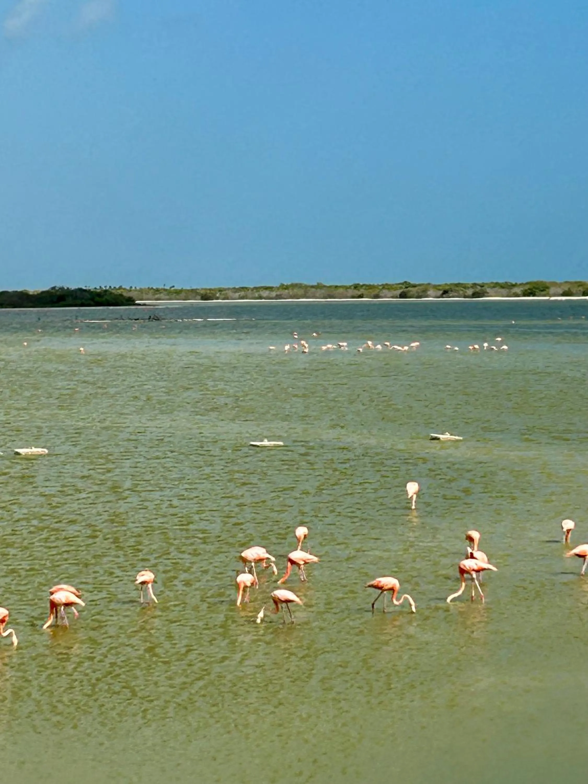 Natural landscape in Hotel La Casa Cielo solo adultos
