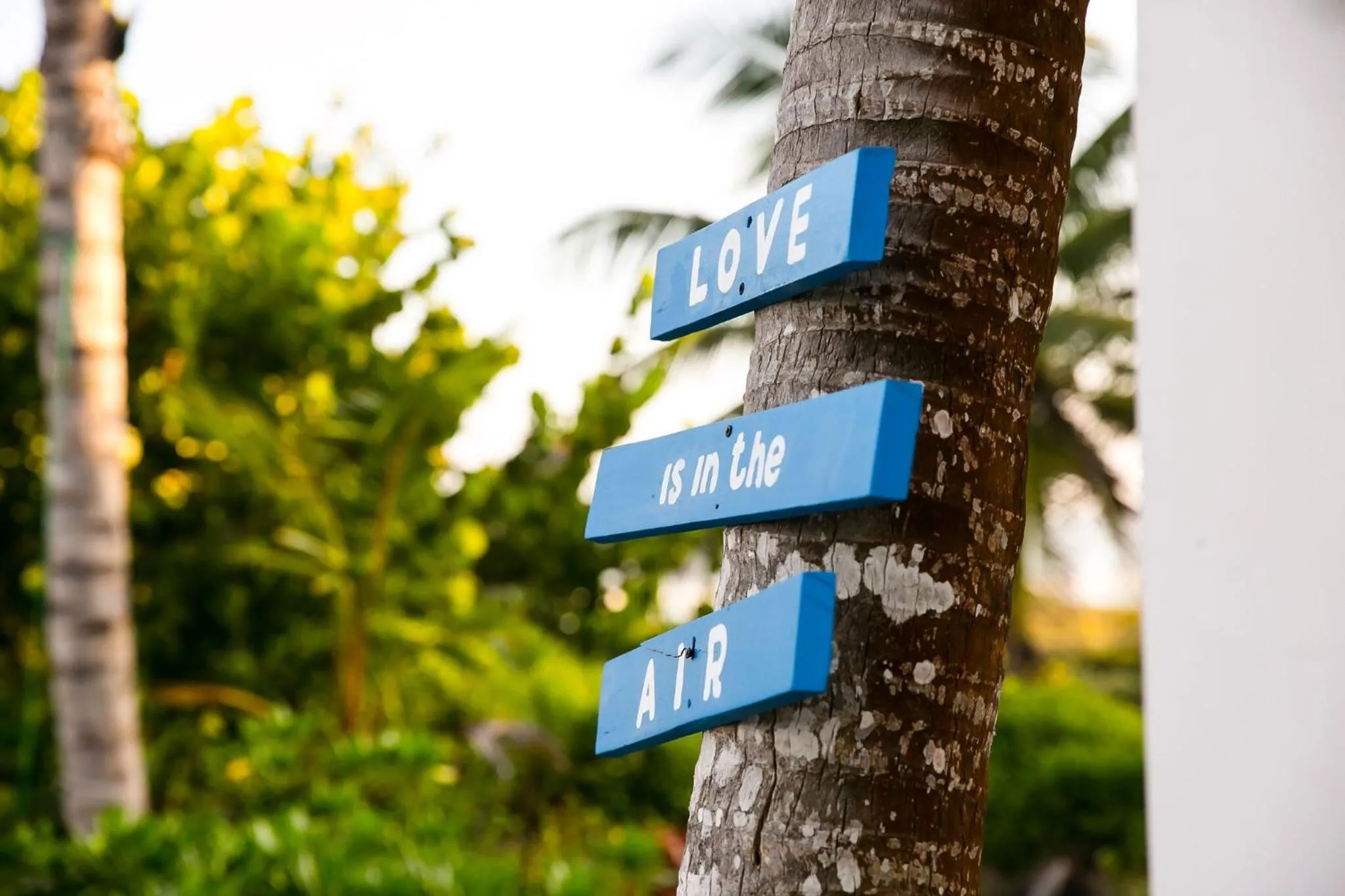 Decorative detail in Hotel La Casa Cielo solo adultos