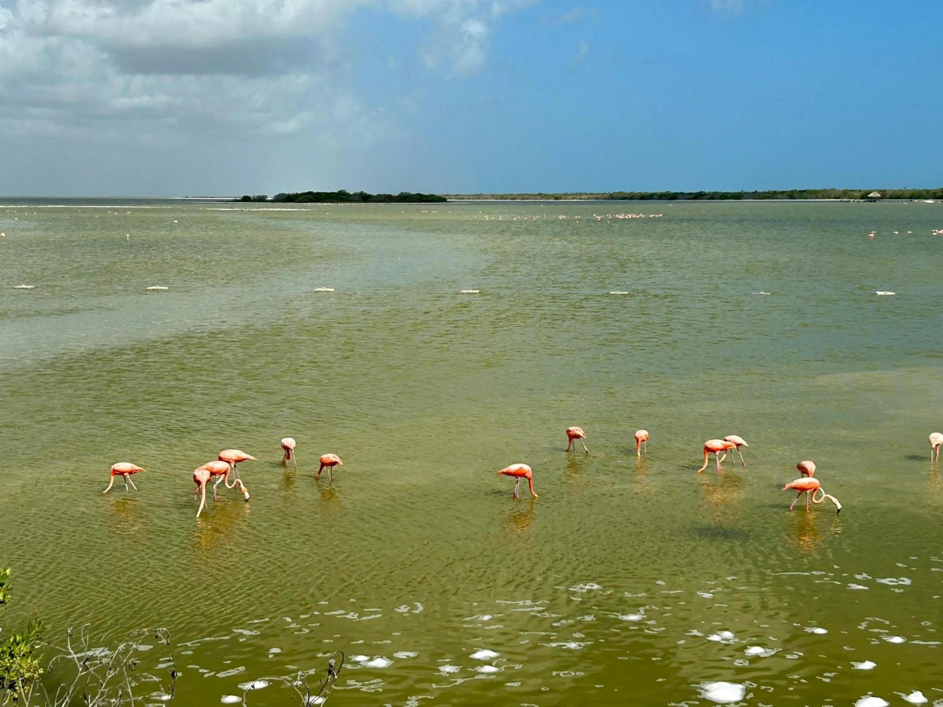 Natural landscape in Hotel La Casa Cielo solo adultos
