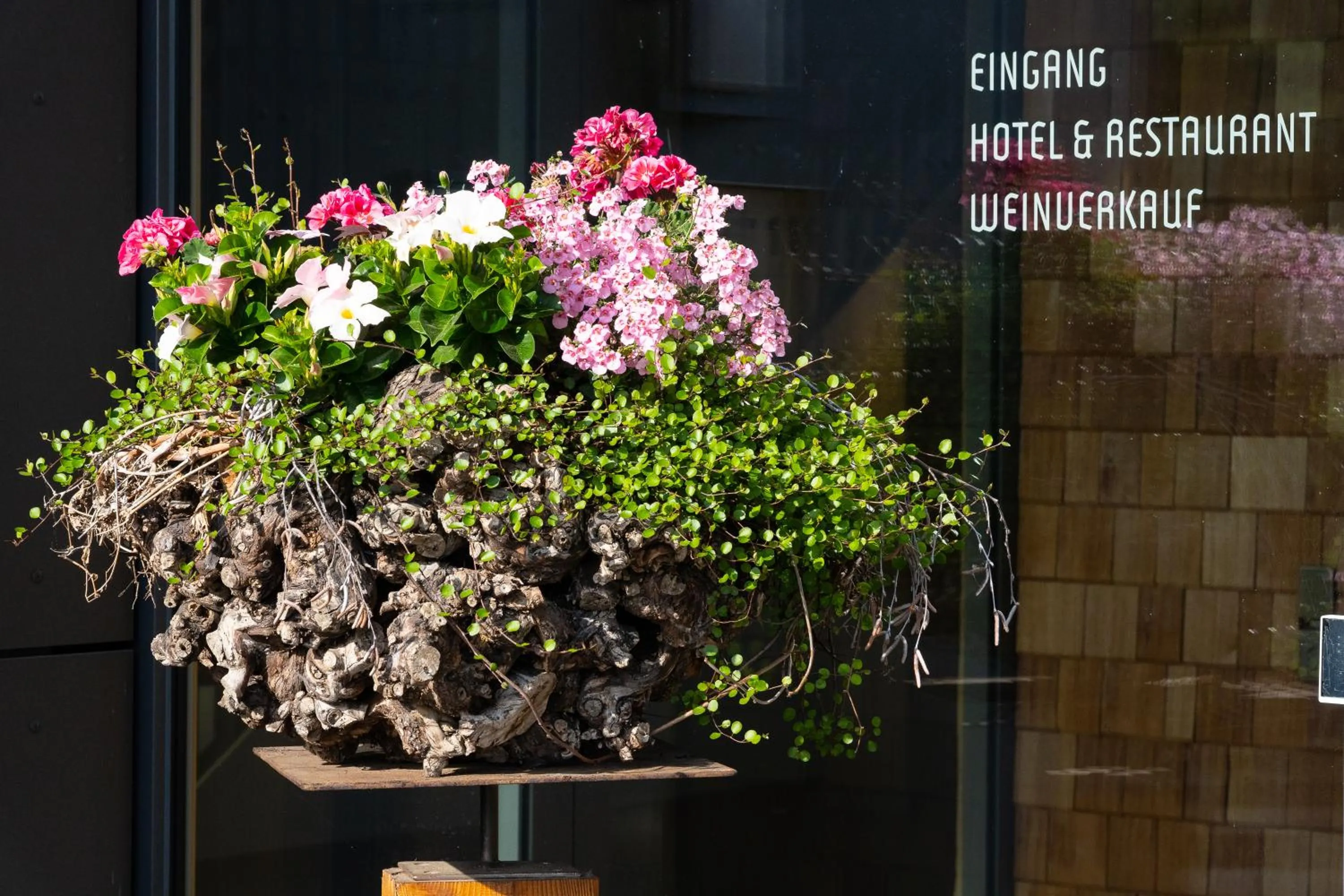 Property building in Weinhotel Pfeffer & Salz