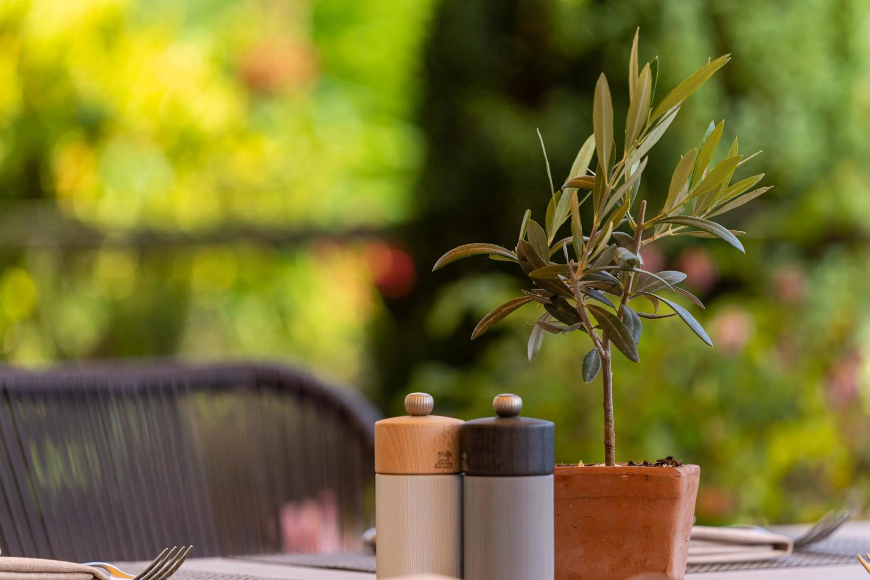 Restaurant/places to eat in Weinhotel Pfeffer & Salz