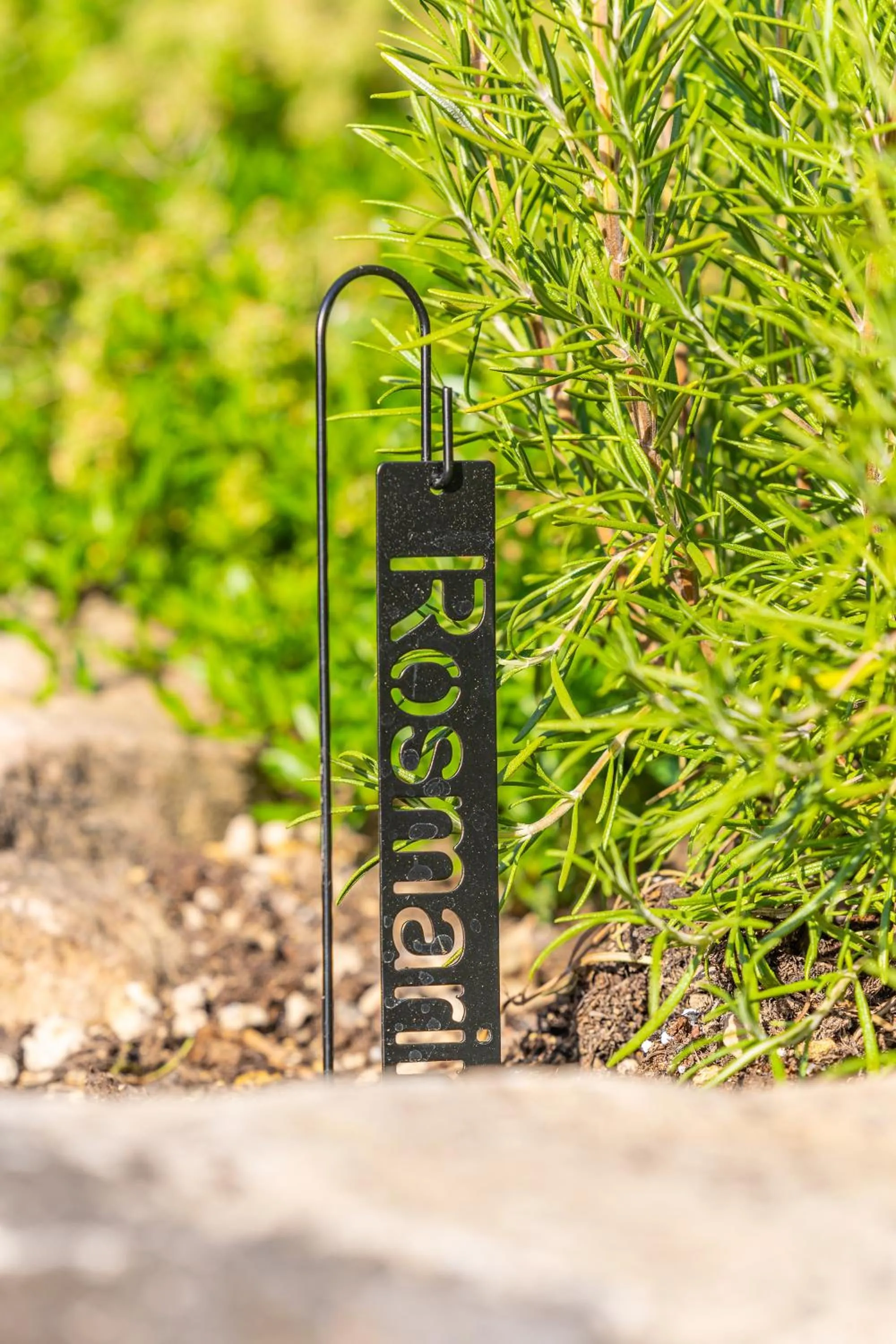 Garden in Weinhotel Pfeffer & Salz